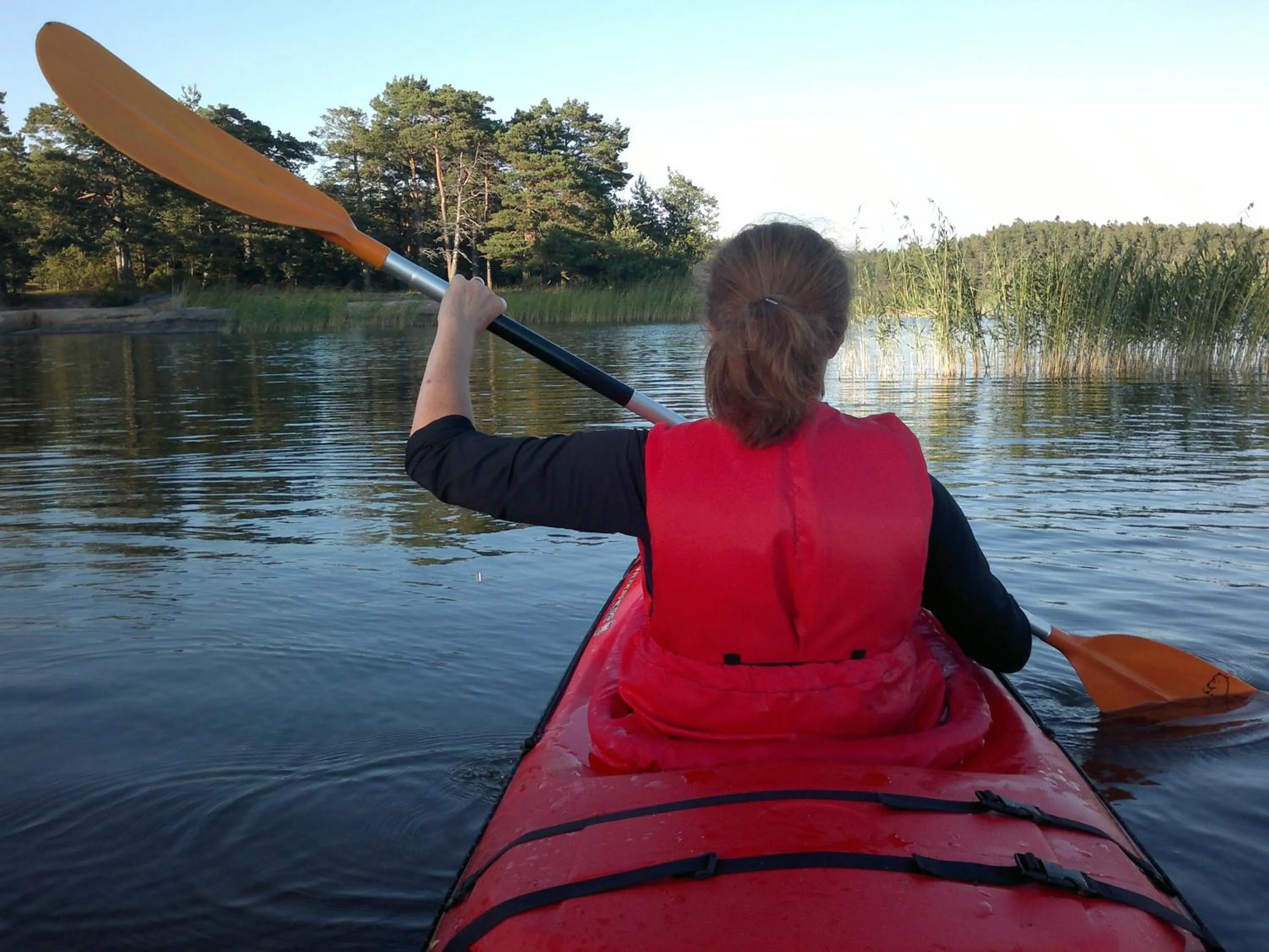 Natural landscape in Hotel Stallbacken Nagu