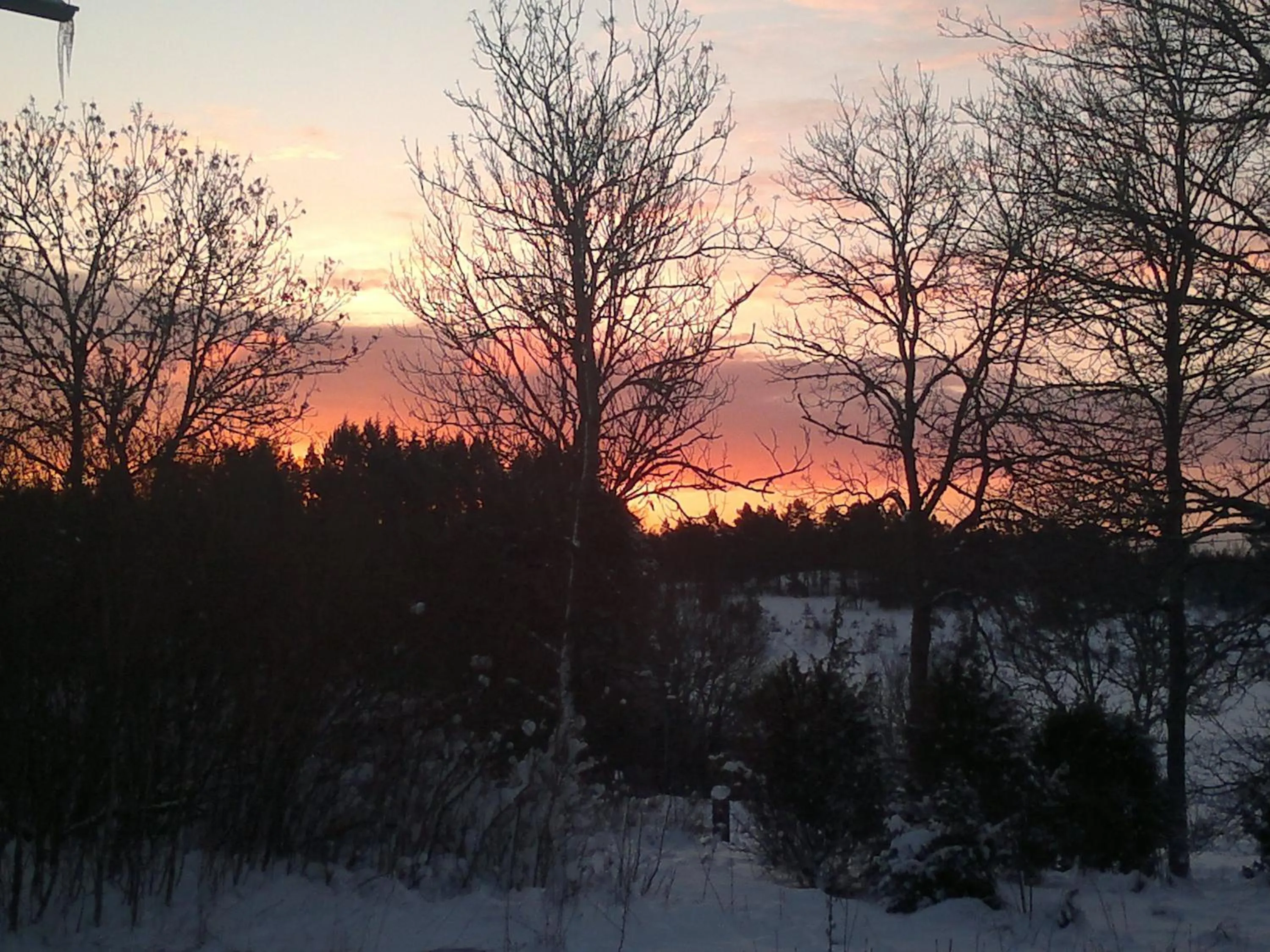 Skiing in Hotel Stallbacken Nagu