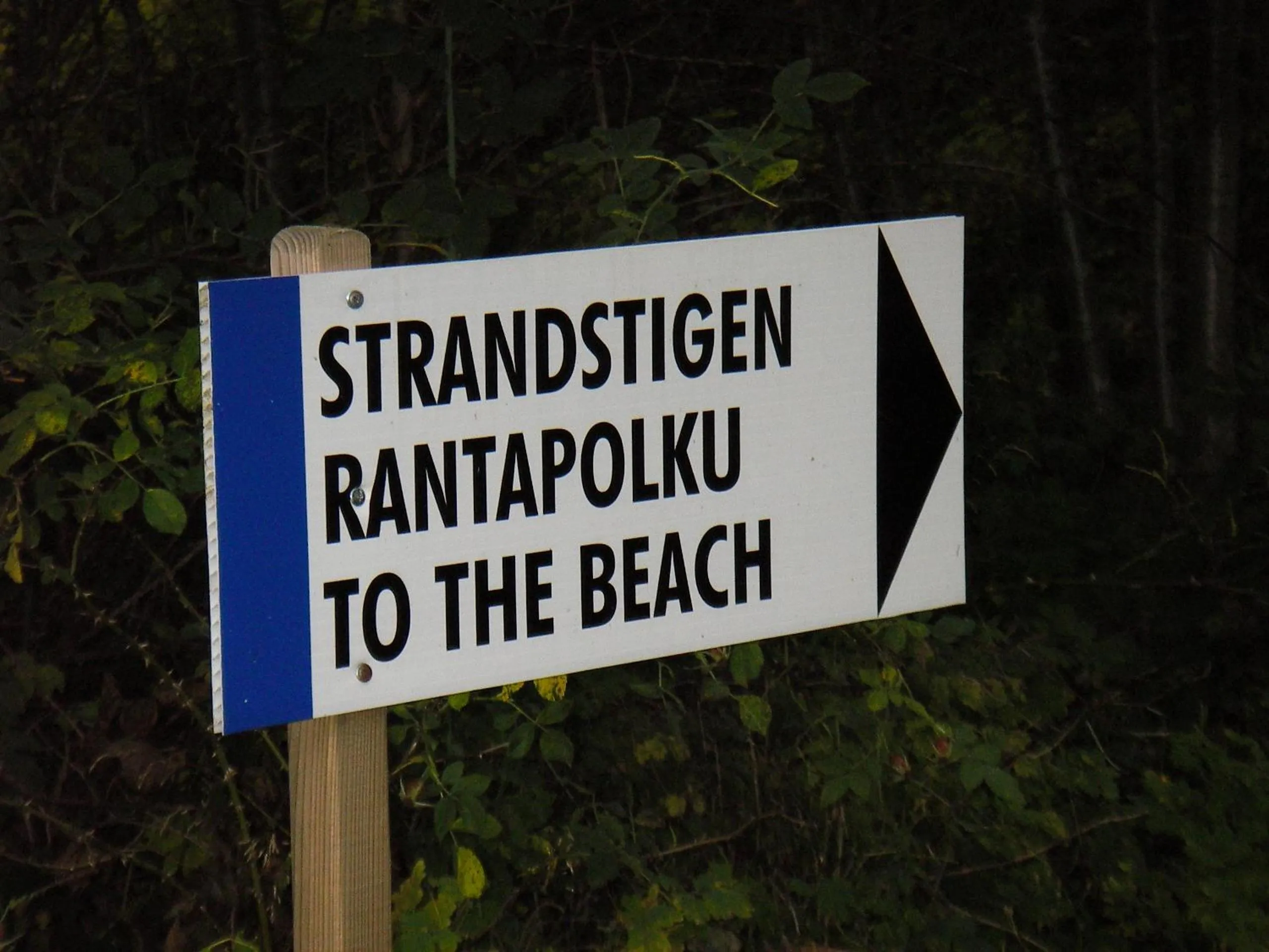 Beach in Hotel Stallbacken Nagu