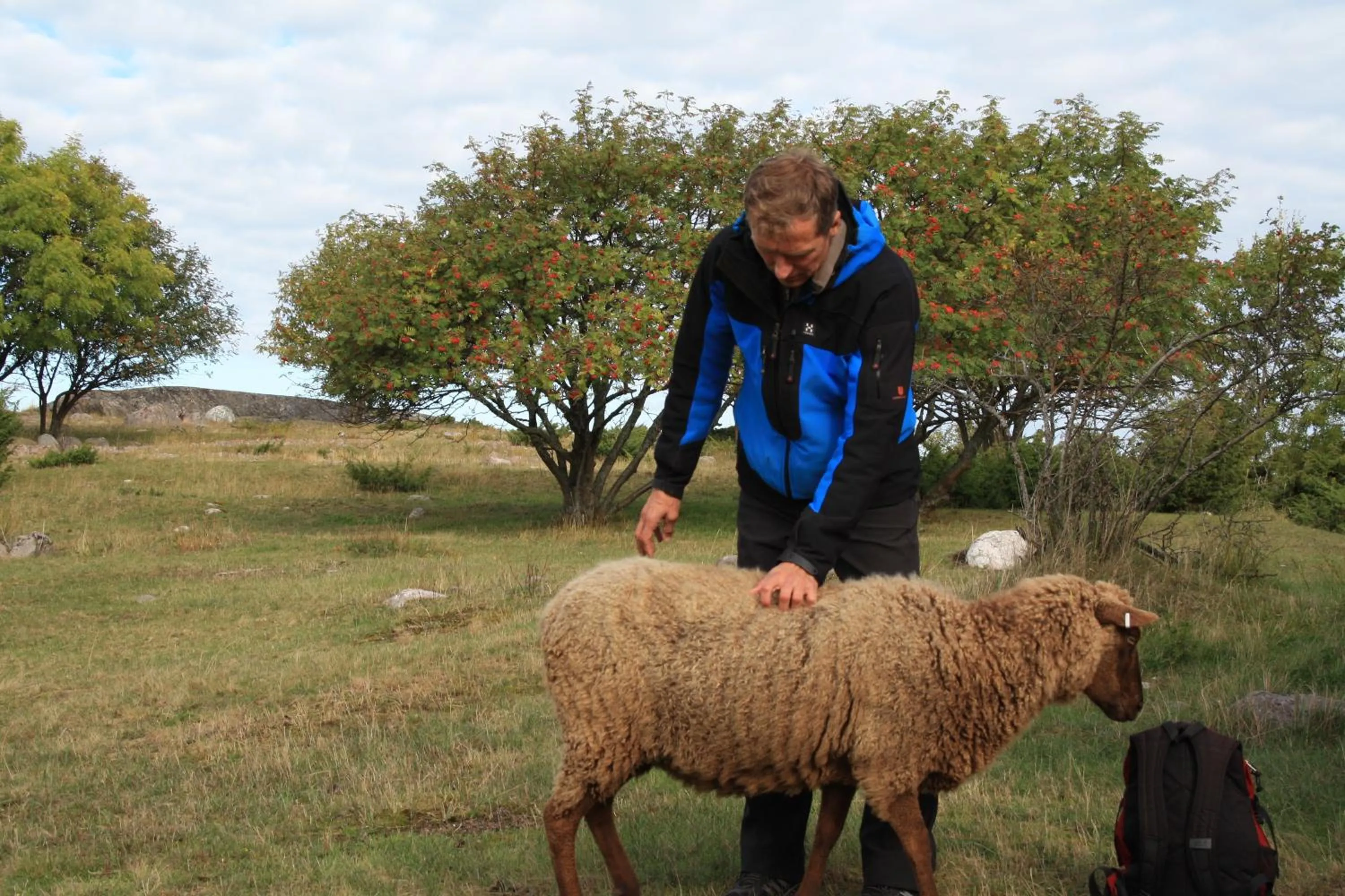 Hiking in Hotel Stallbacken Nagu