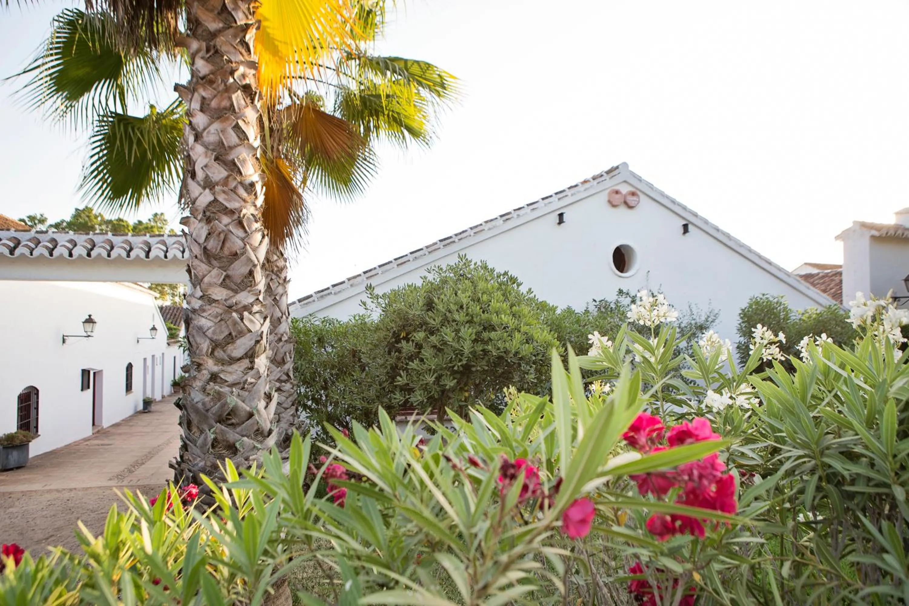 Garden in Hotel Cortijo del Arte - Caminito del Rey