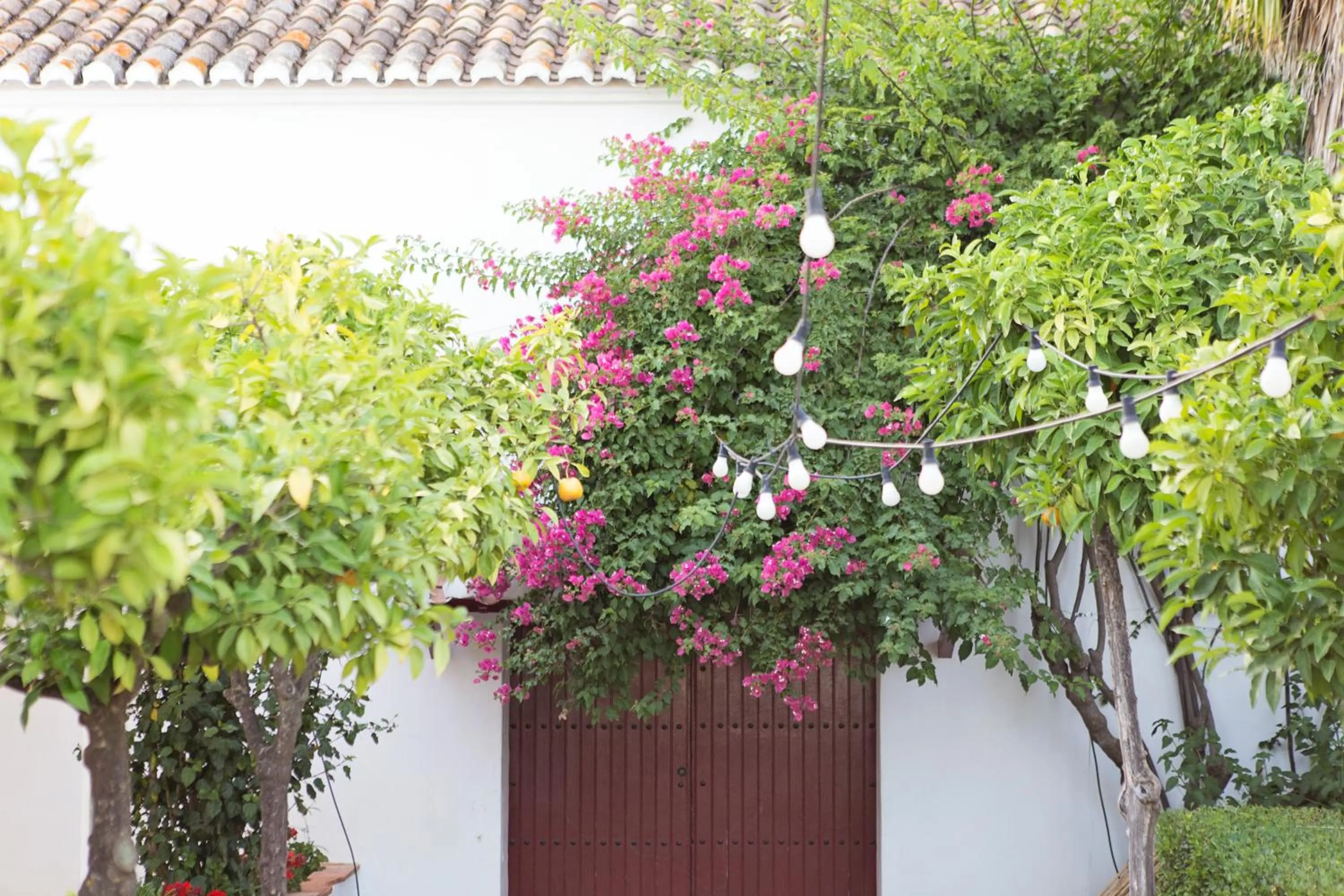 Garden in Hotel Cortijo del Arte - Caminito del Rey