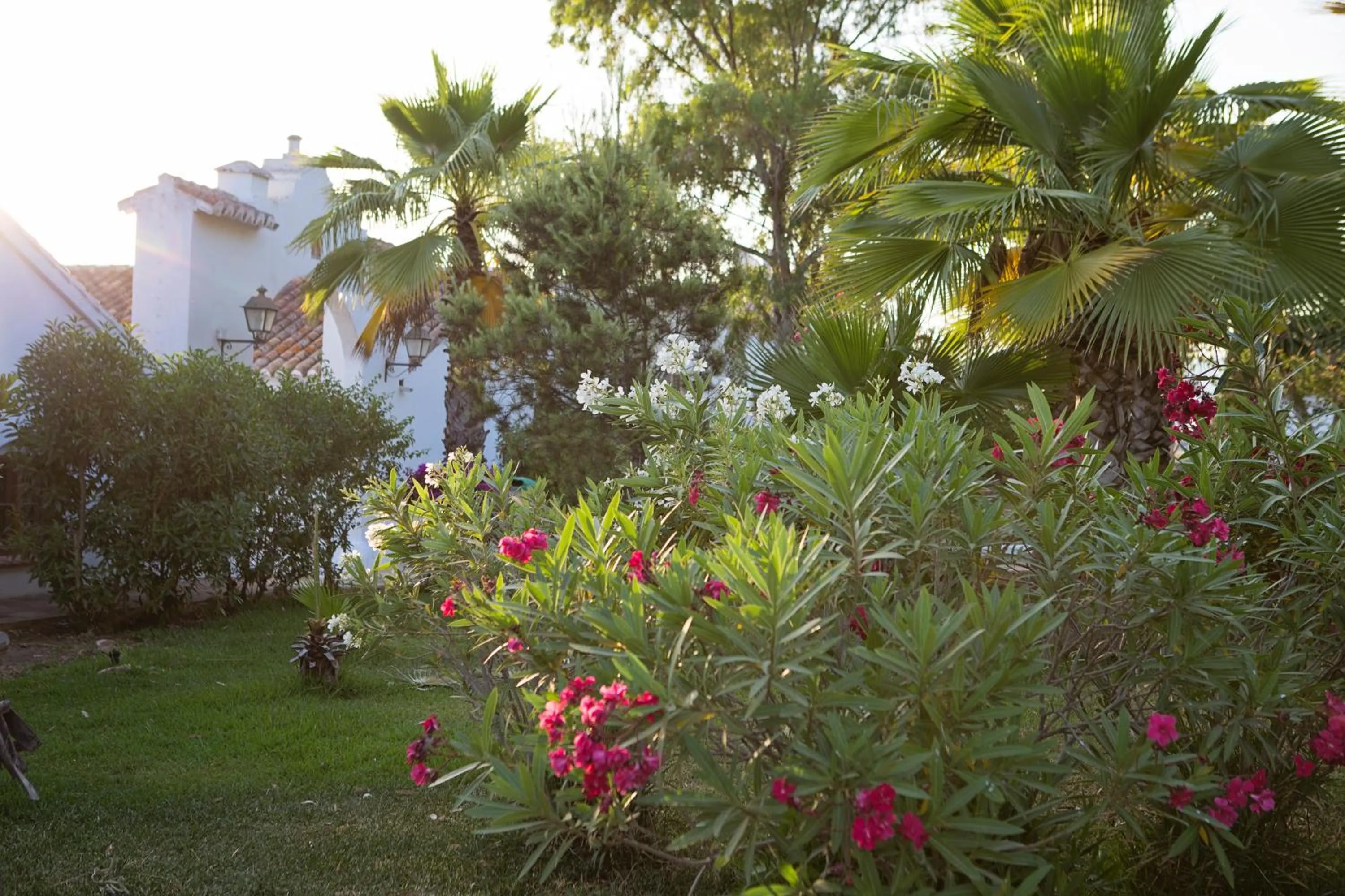 Garden in Hotel Cortijo del Arte - Caminito del Rey