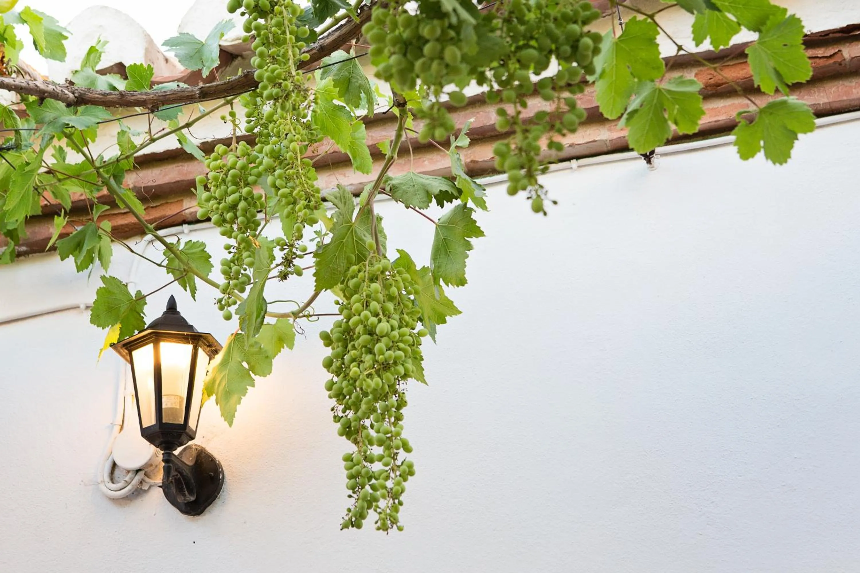 Other in Hotel Cortijo del Arte - Caminito del Rey