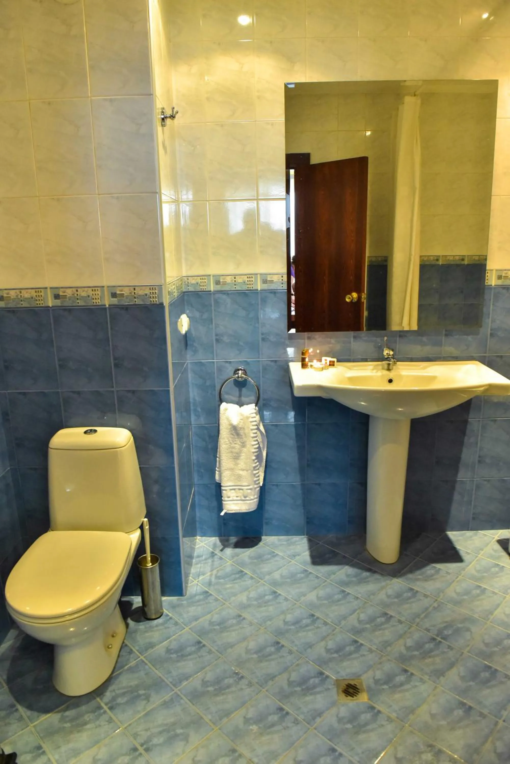 Toilet in Hotel Bojur & Bojurland Apartment Complex