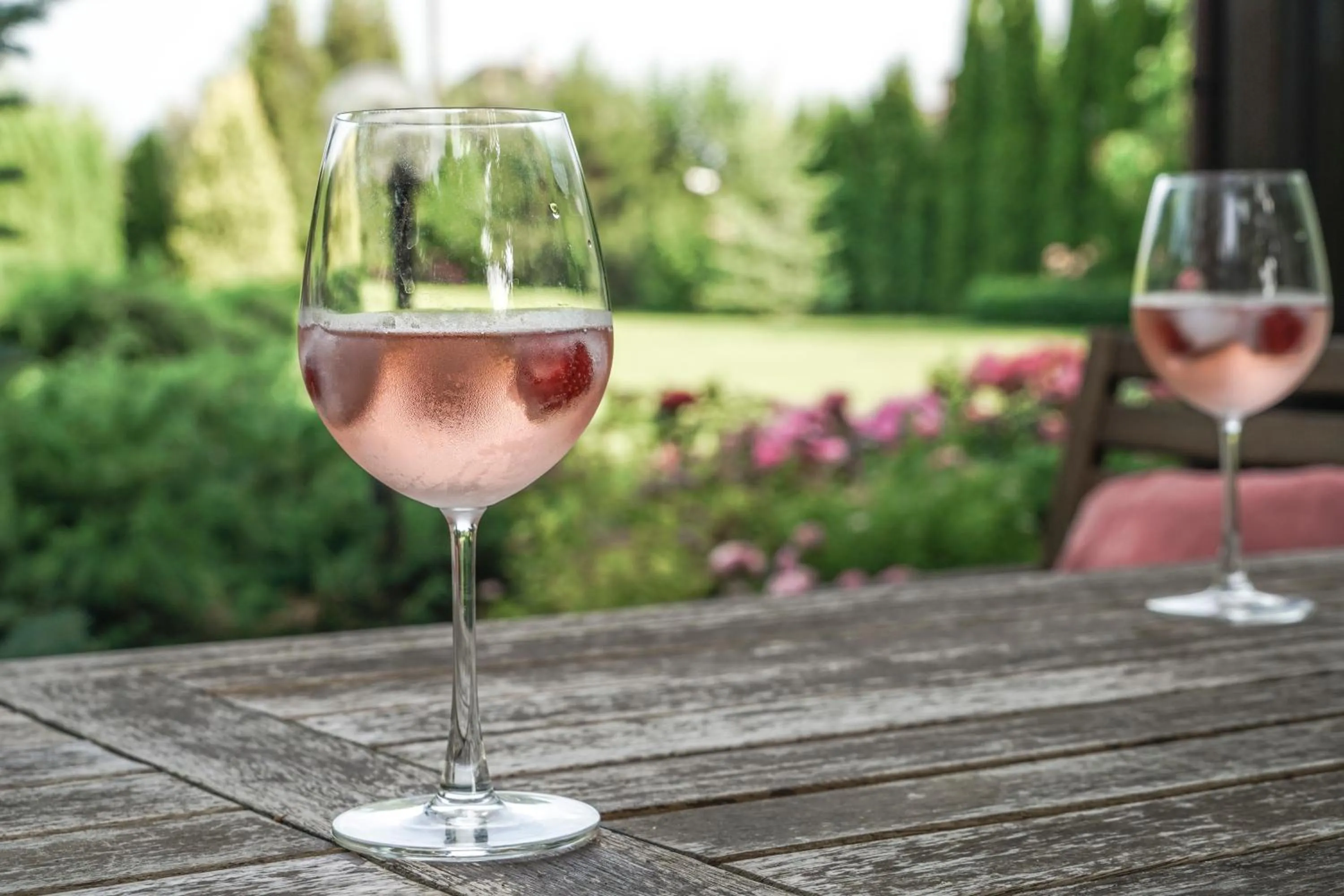 Garden in The Little Guesthouse