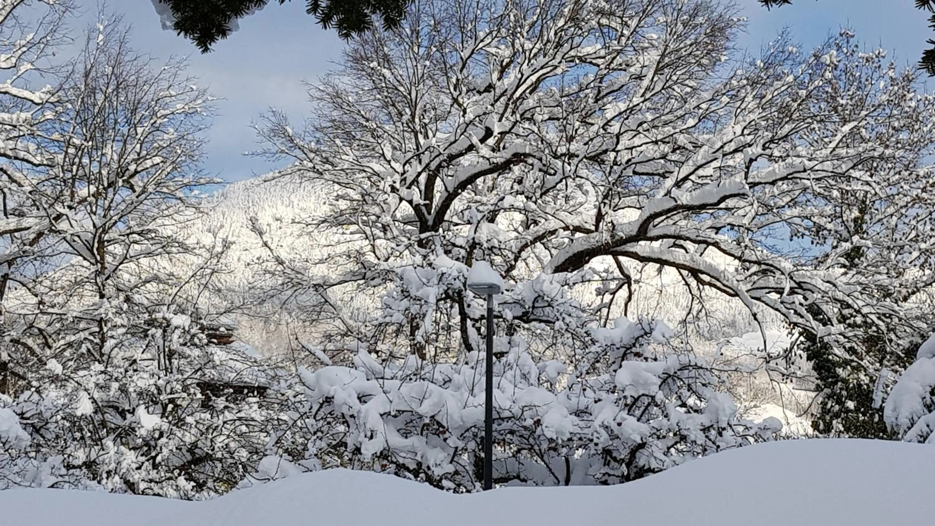 Winter in The Little Guesthouse