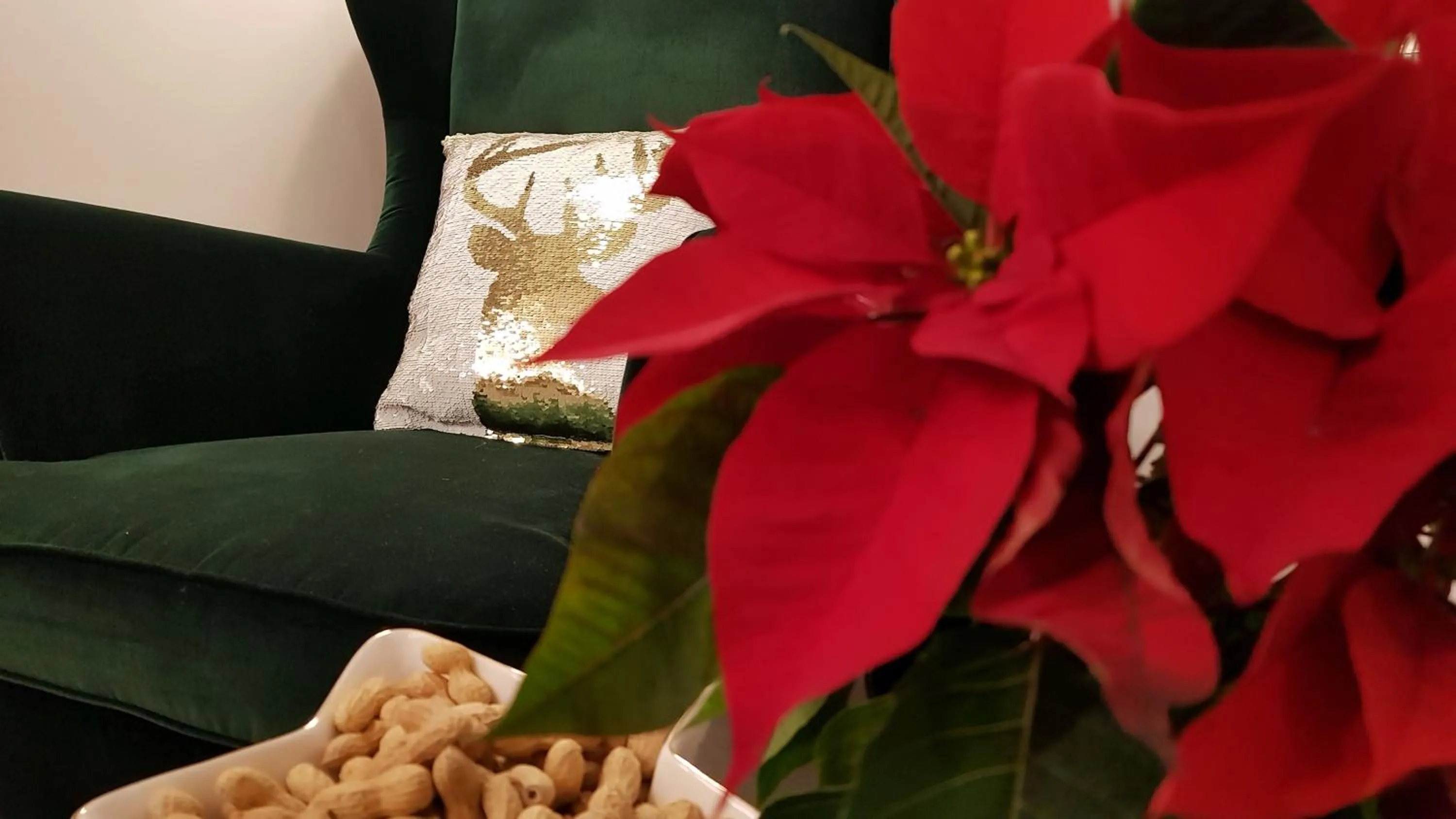 Decorative detail in The Little Guesthouse