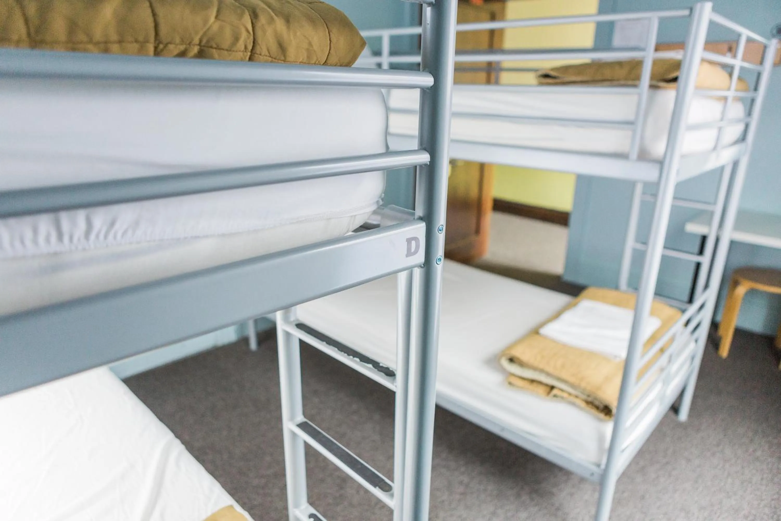 bunk bed, Bed in American Hotel Hostel
