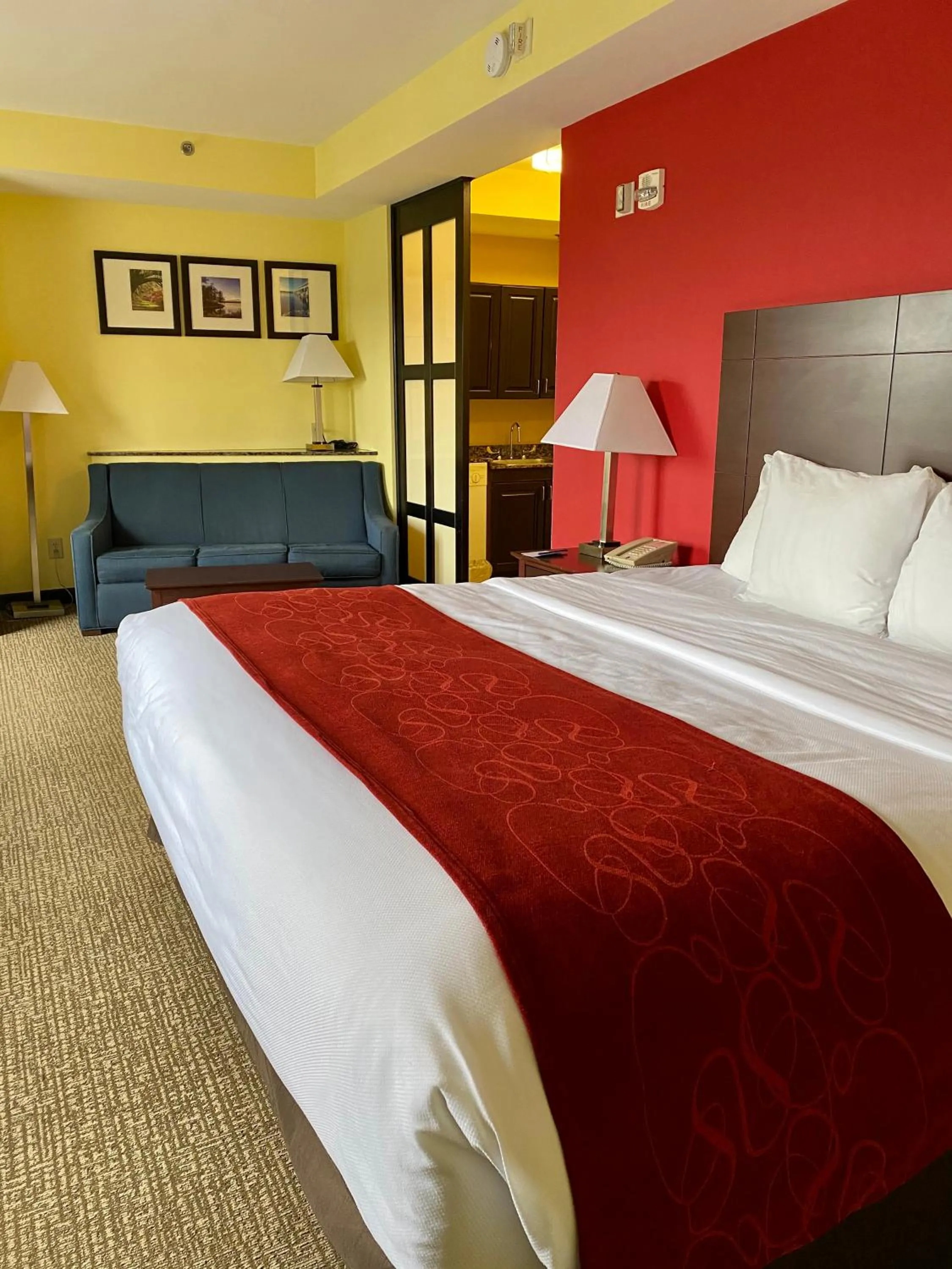 Photo of the whole room, Bed in Comfort Suites Rock Hill Manchester Meadows Area