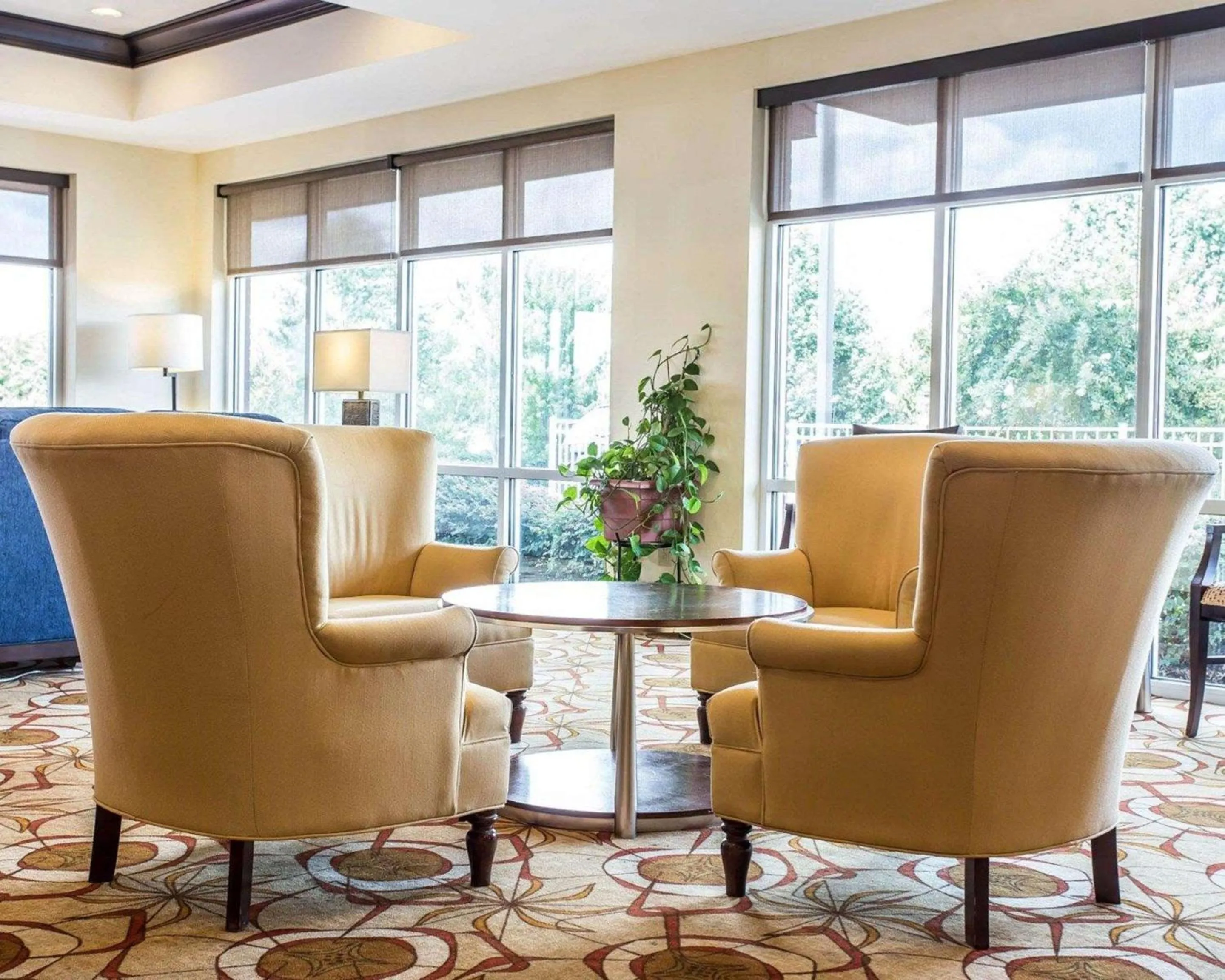 Lobby or reception in Comfort Suites Rock Hill Manchester Meadows Area