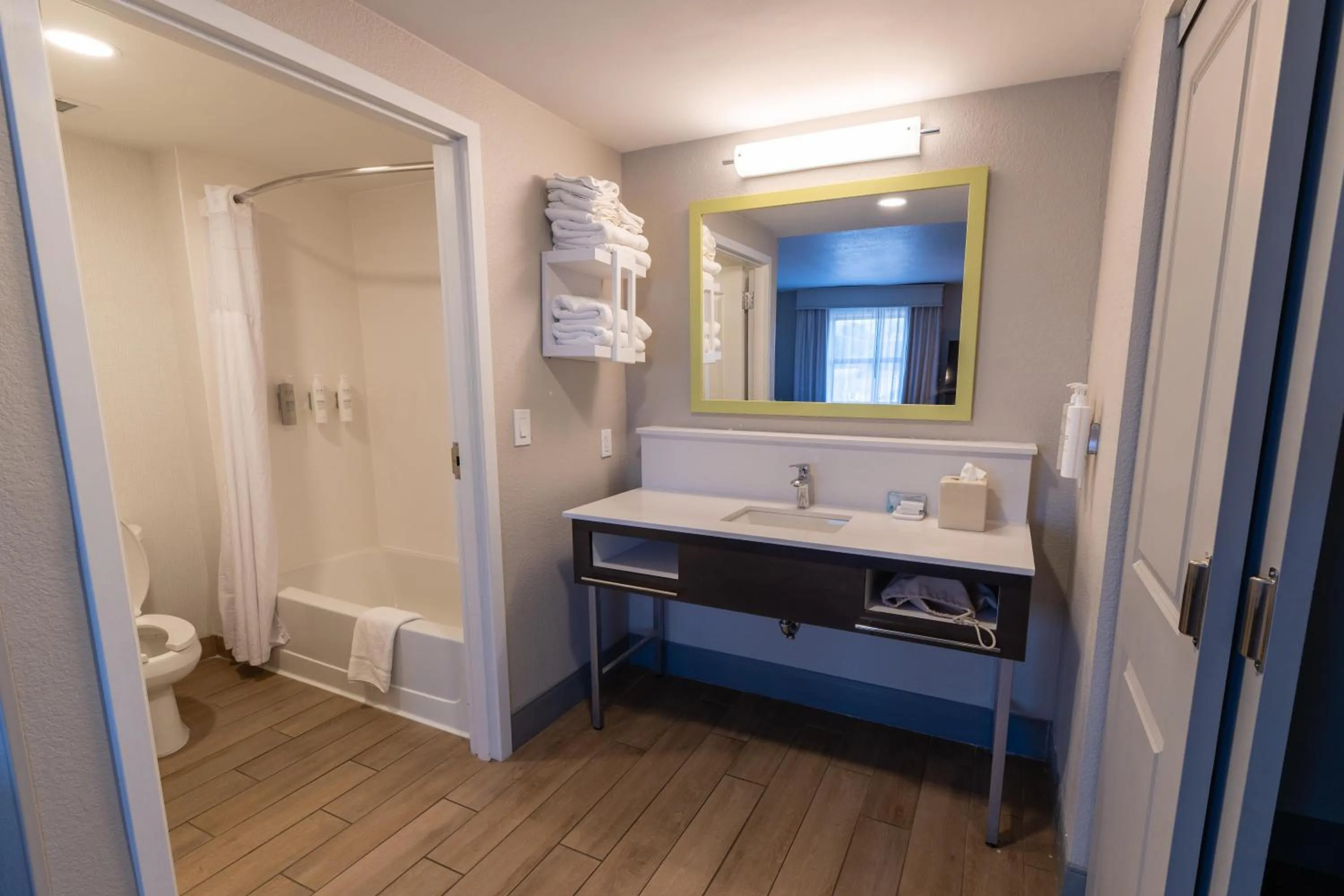 Bathroom in Hampton Inn & Suites-Florence Downtown