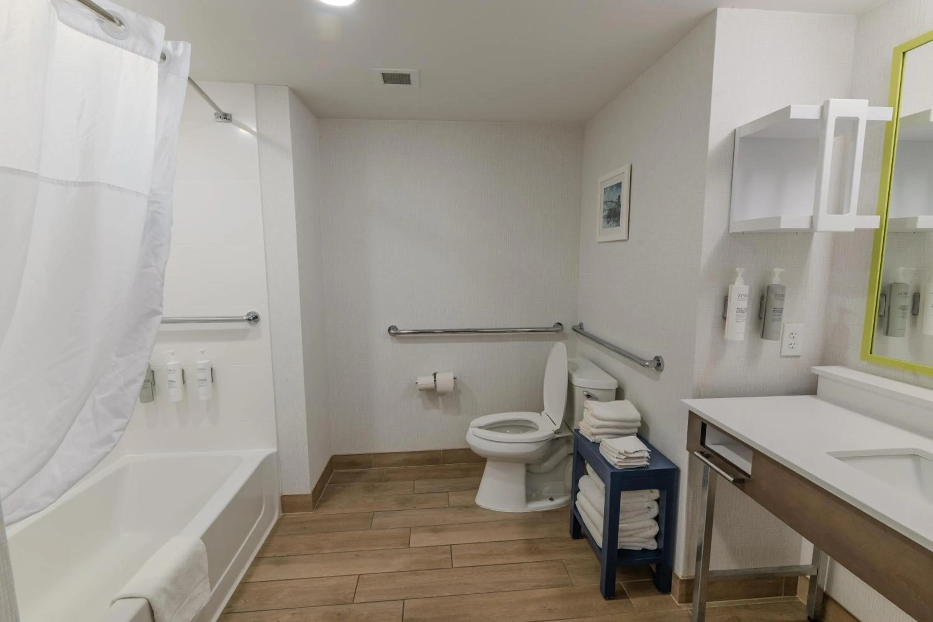 Bathroom in Hampton Inn & Suites-Florence Downtown