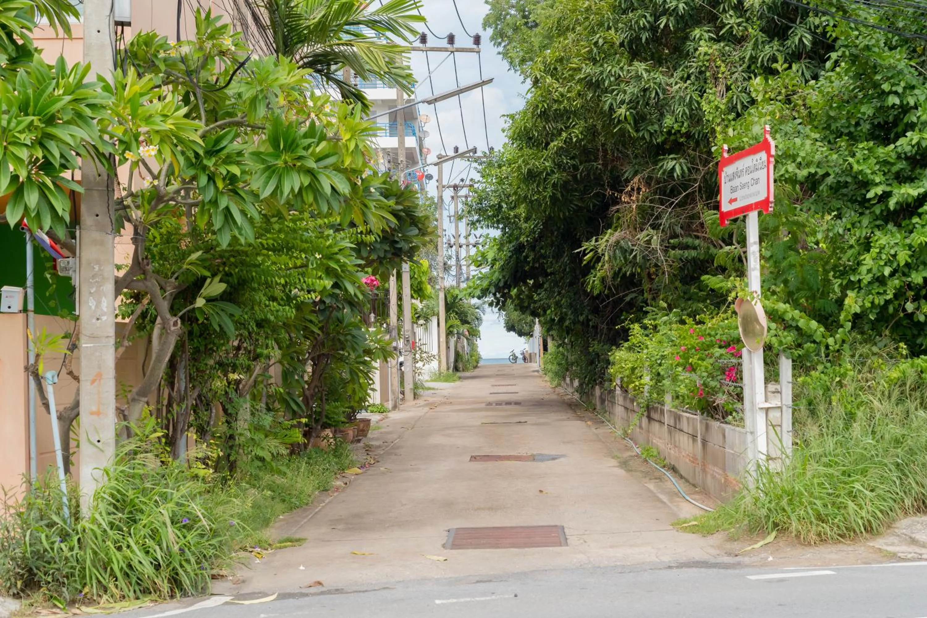 Neighbourhood in Surf and Sand Resort