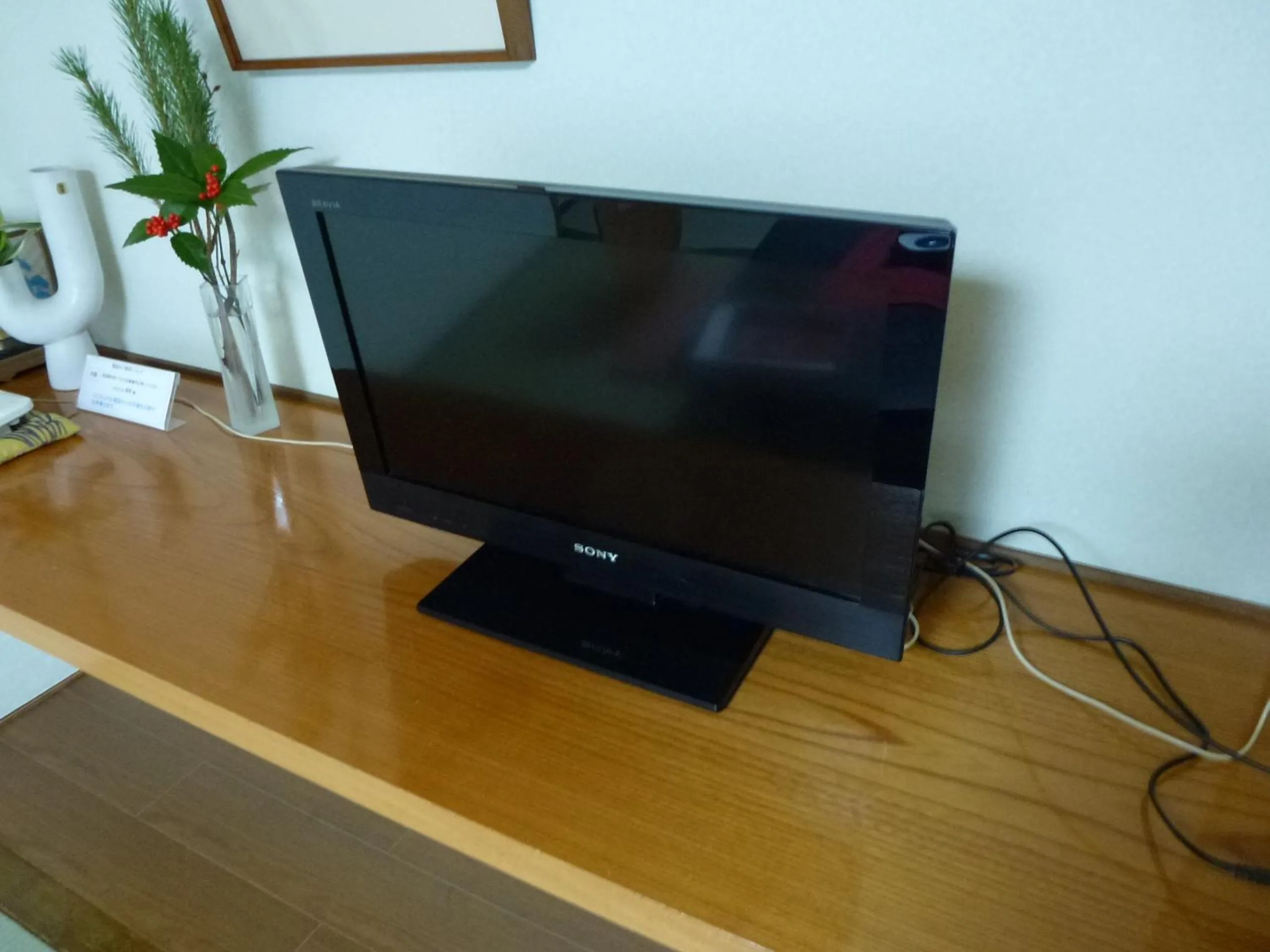 TV and multimedia in Sumiyoshiya