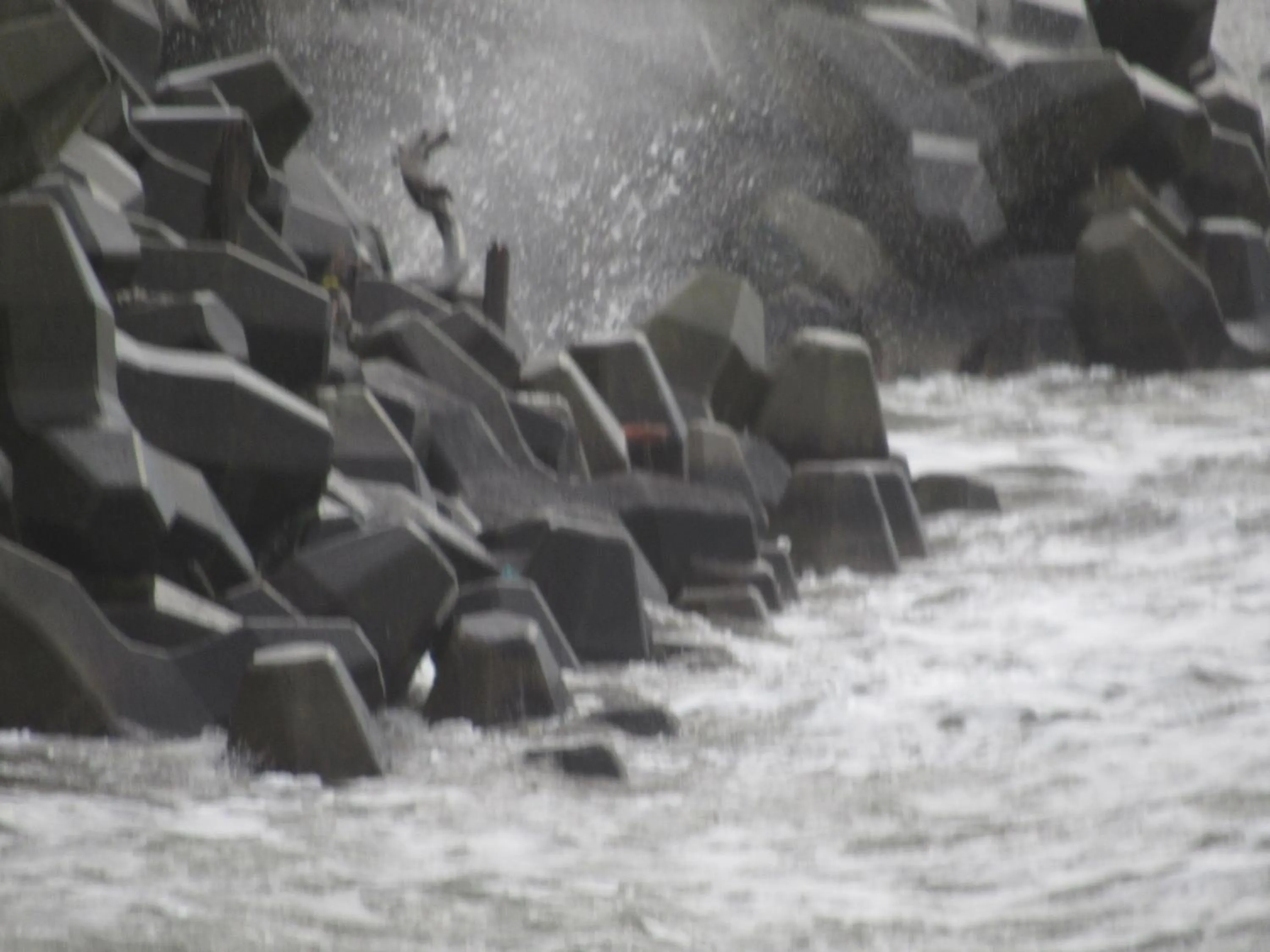 Winter in Sumiyoshiya