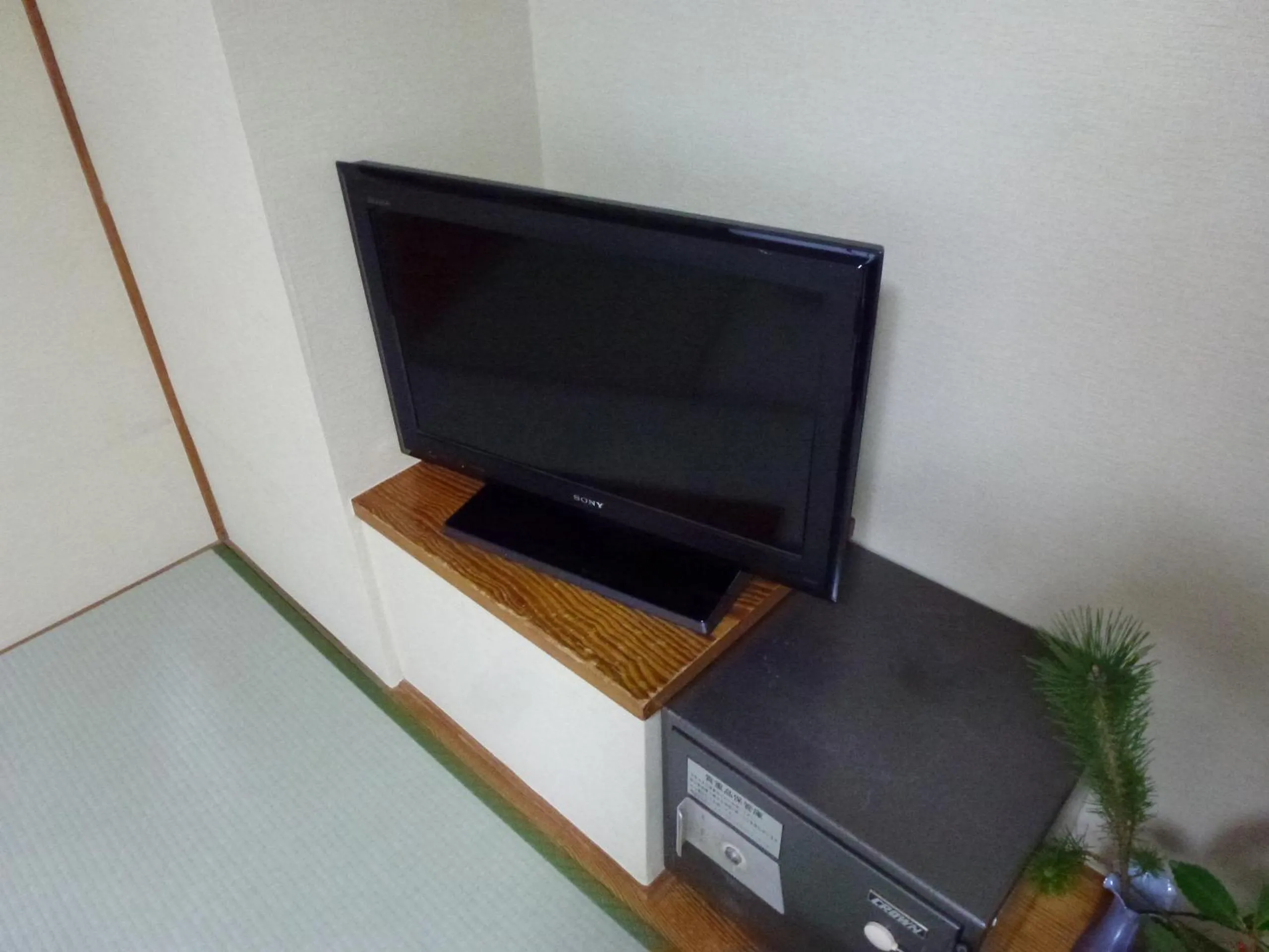 TV and multimedia in Sumiyoshiya