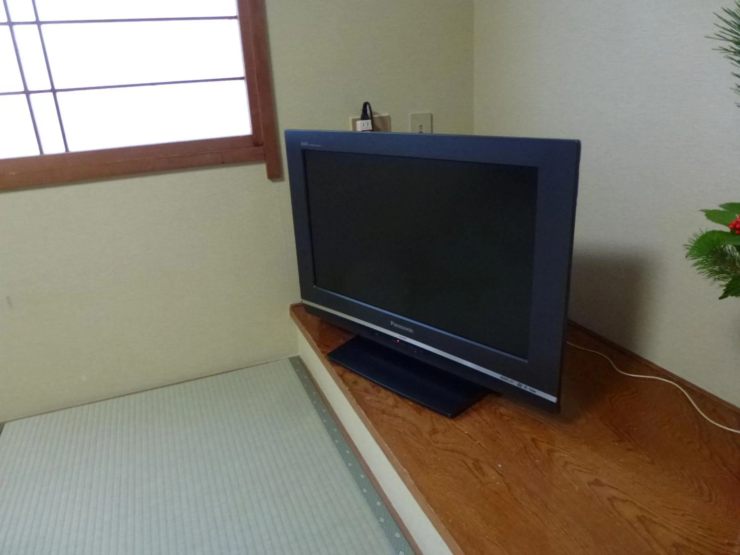 TV and multimedia in Sumiyoshiya