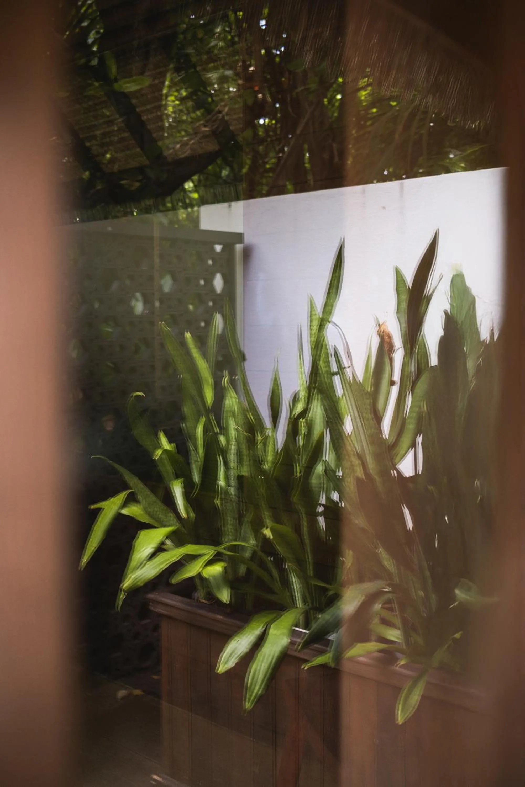 Park Hyatt Maldives Hadahaa