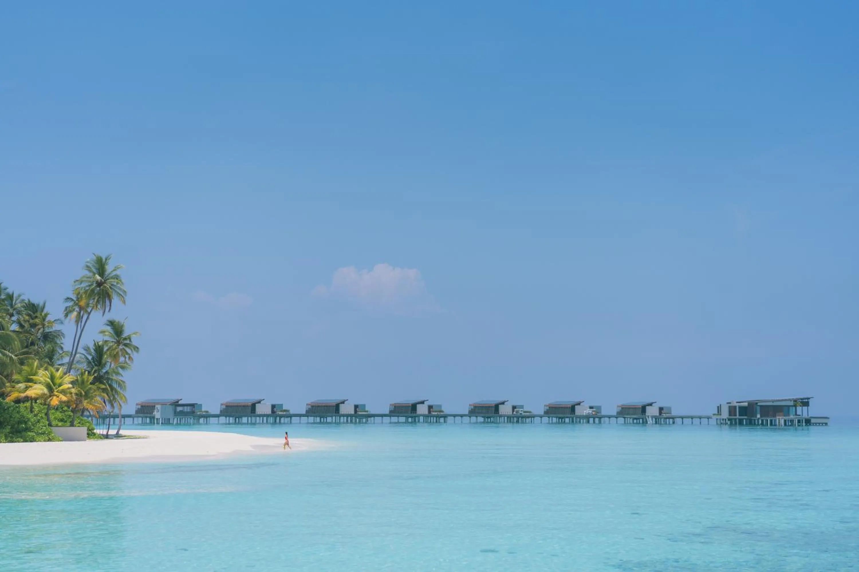 Natural landscape in Park Hyatt Maldives Hadahaa