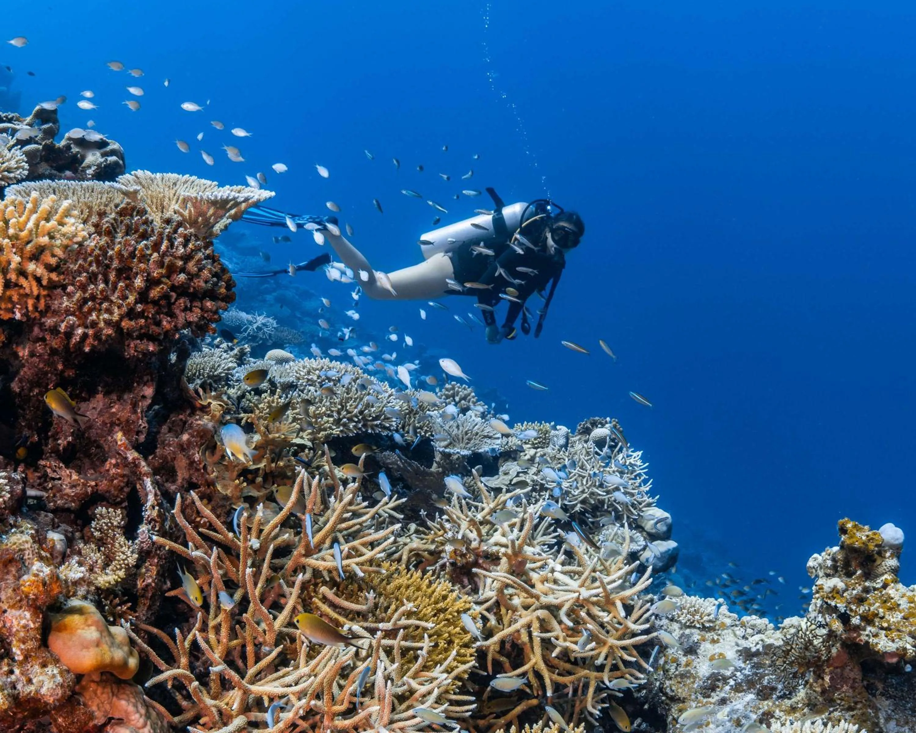Location in Park Hyatt Maldives Hadahaa