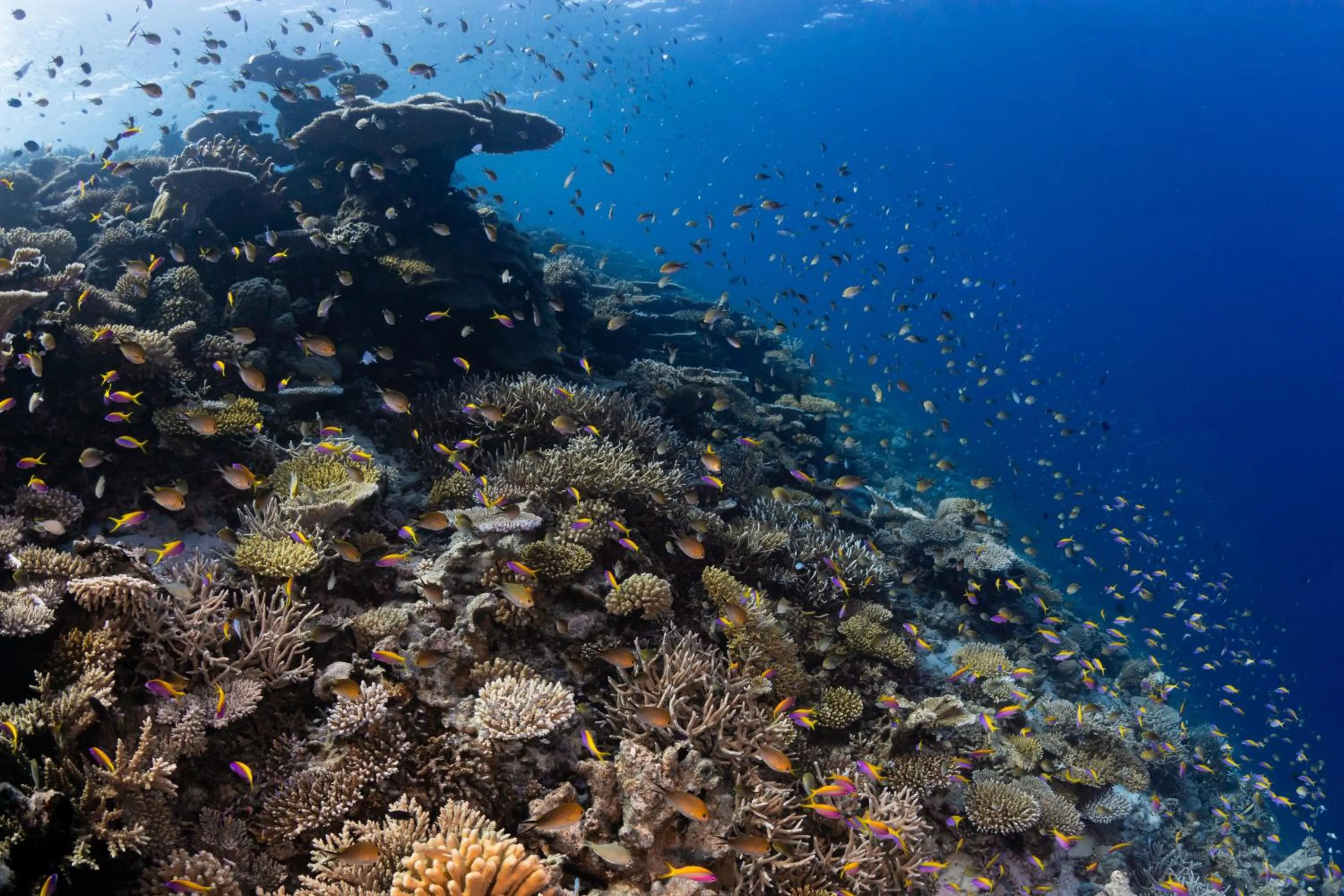 Property building in Park Hyatt Maldives Hadahaa