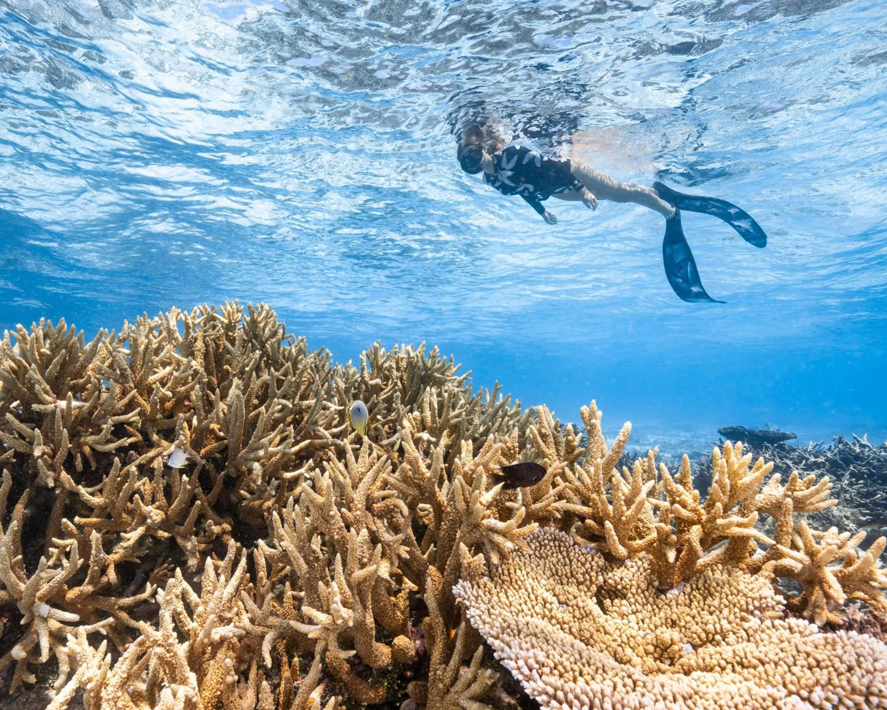 Location in Park Hyatt Maldives Hadahaa