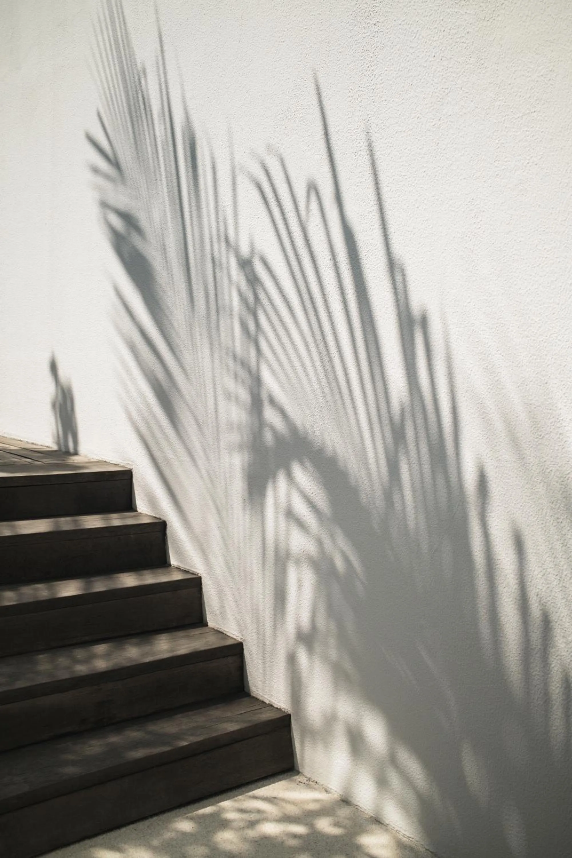 Park Hyatt Maldives Hadahaa