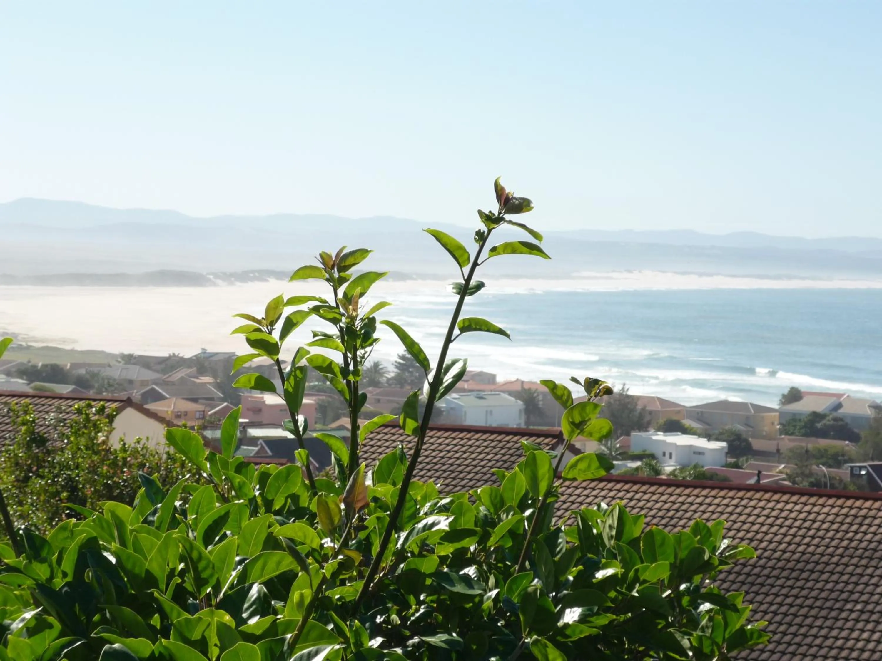 Beach in A1 Kynaston Guest House bed and breakfast or self catering