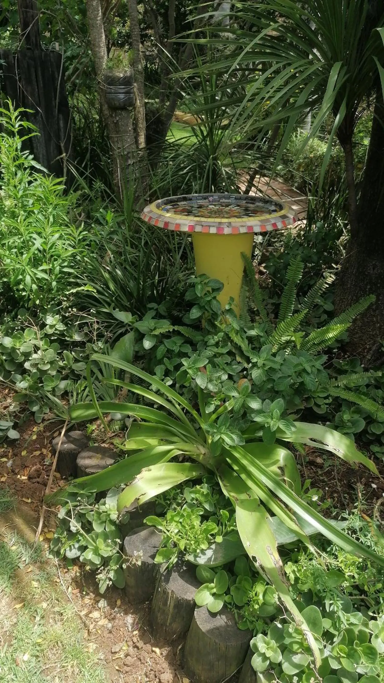 Garden in A1 Kynaston Guest House bed and breakfast or self catering