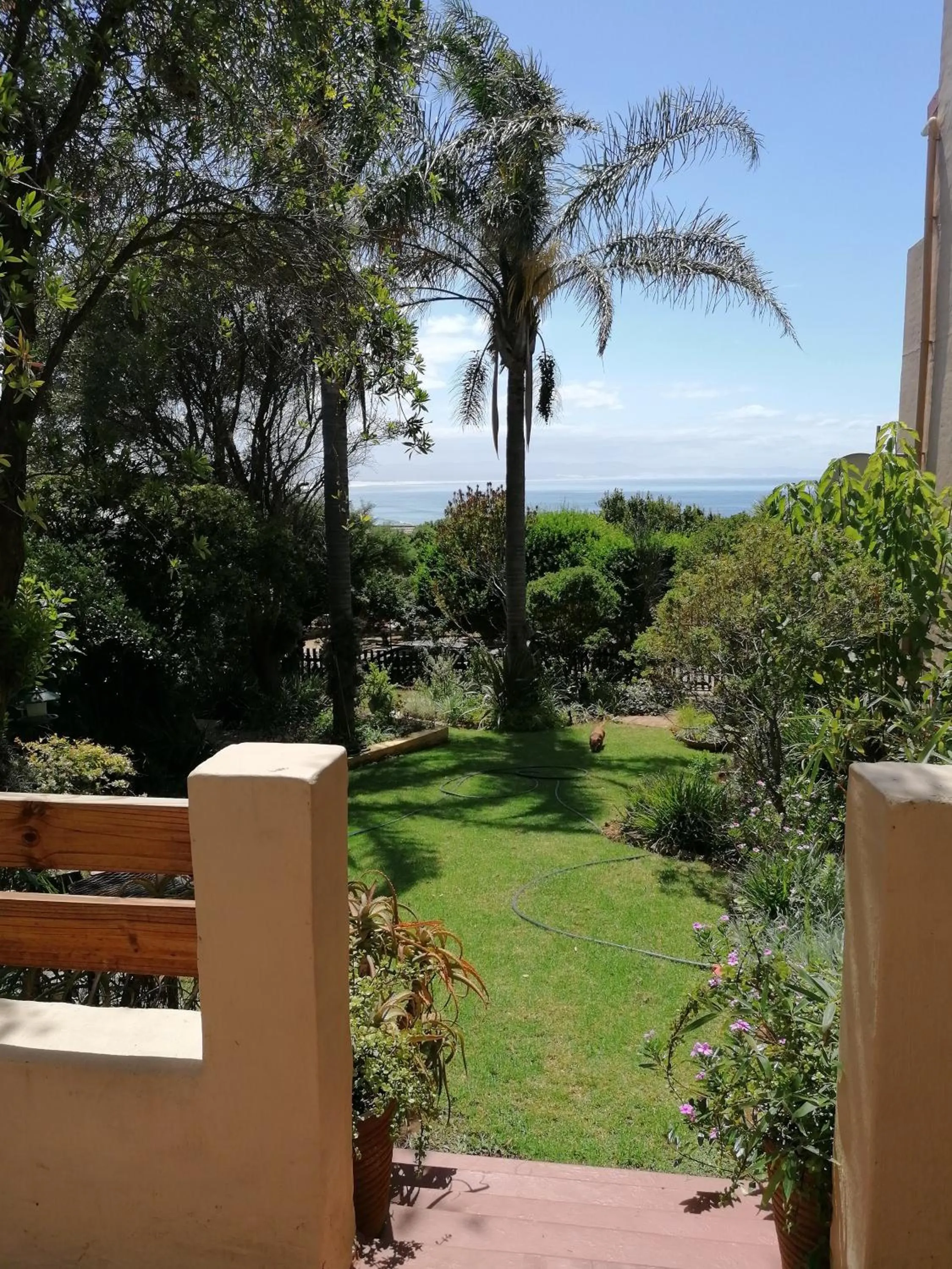 Garden view in A1 Kynaston Guest House bed and breakfast or self catering