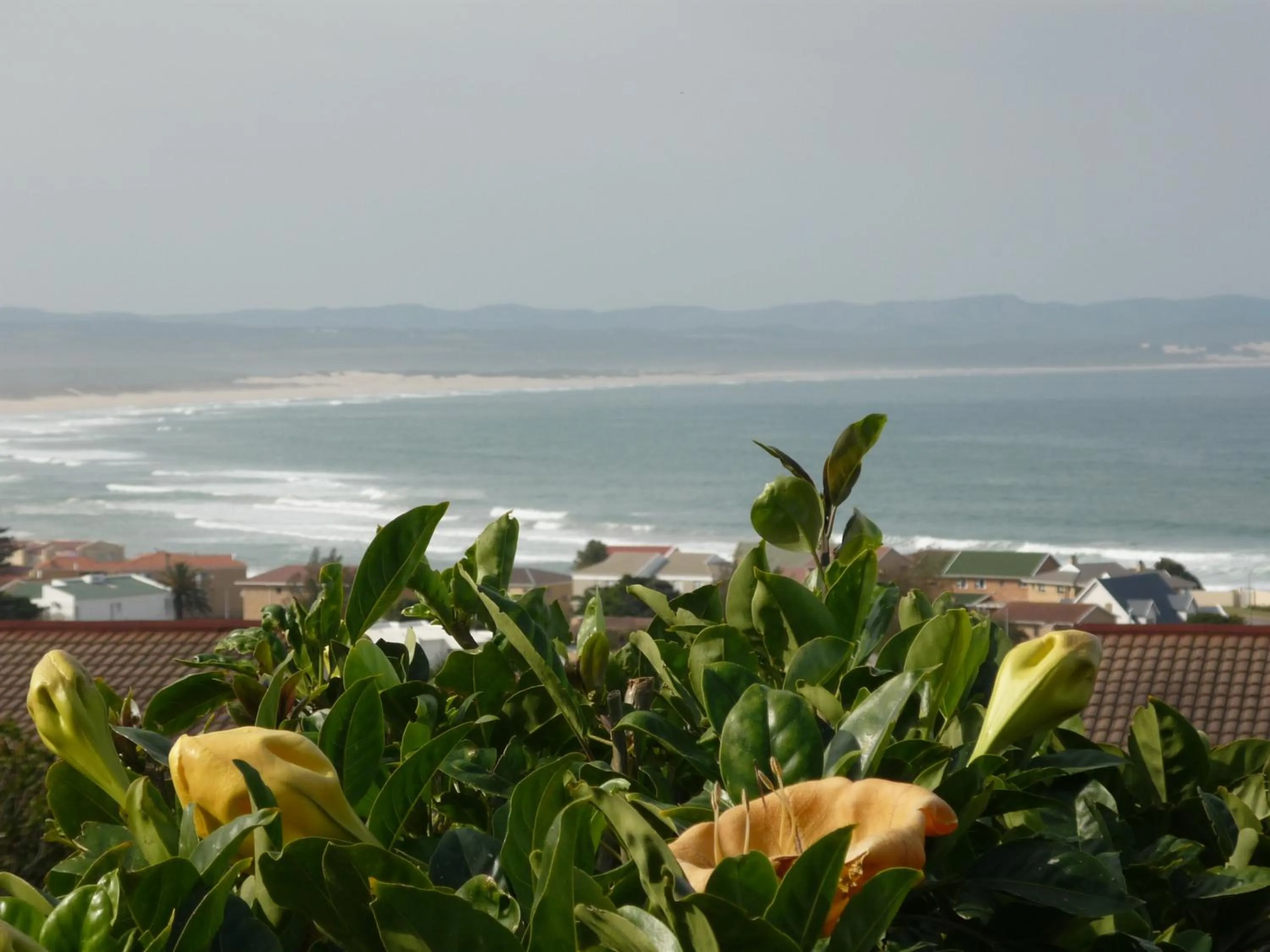 Balcony/Terrace in A1 Kynaston Guest House bed and breakfast or self catering