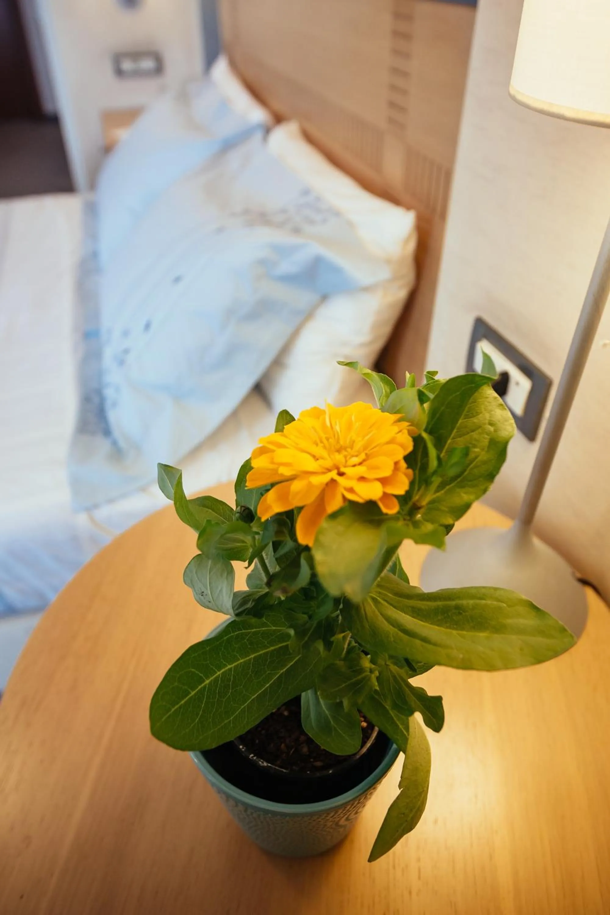 Decorative detail, Bed in Alexandros Boutique Hotel