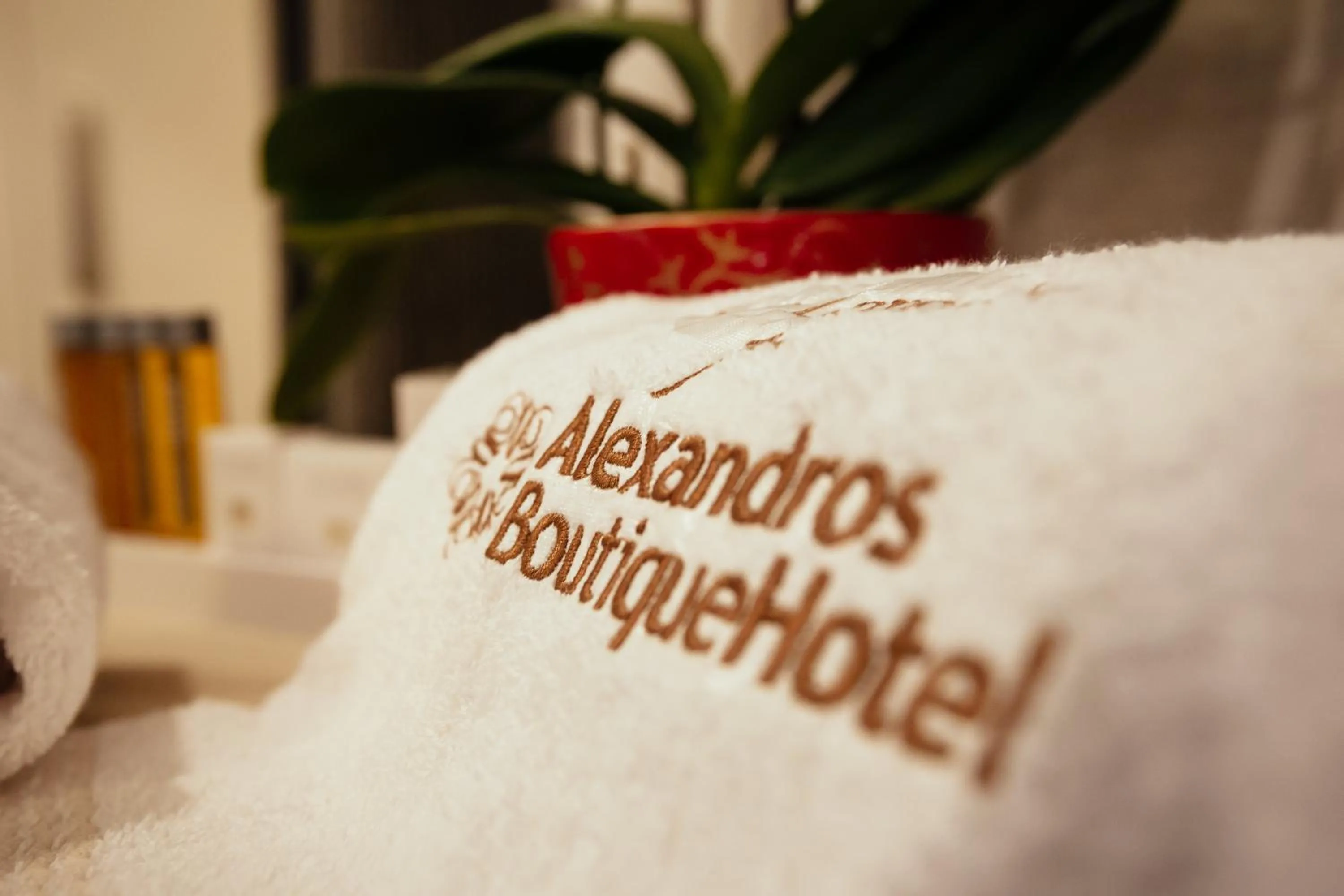 Property logo or sign in Alexandros Boutique Hotel