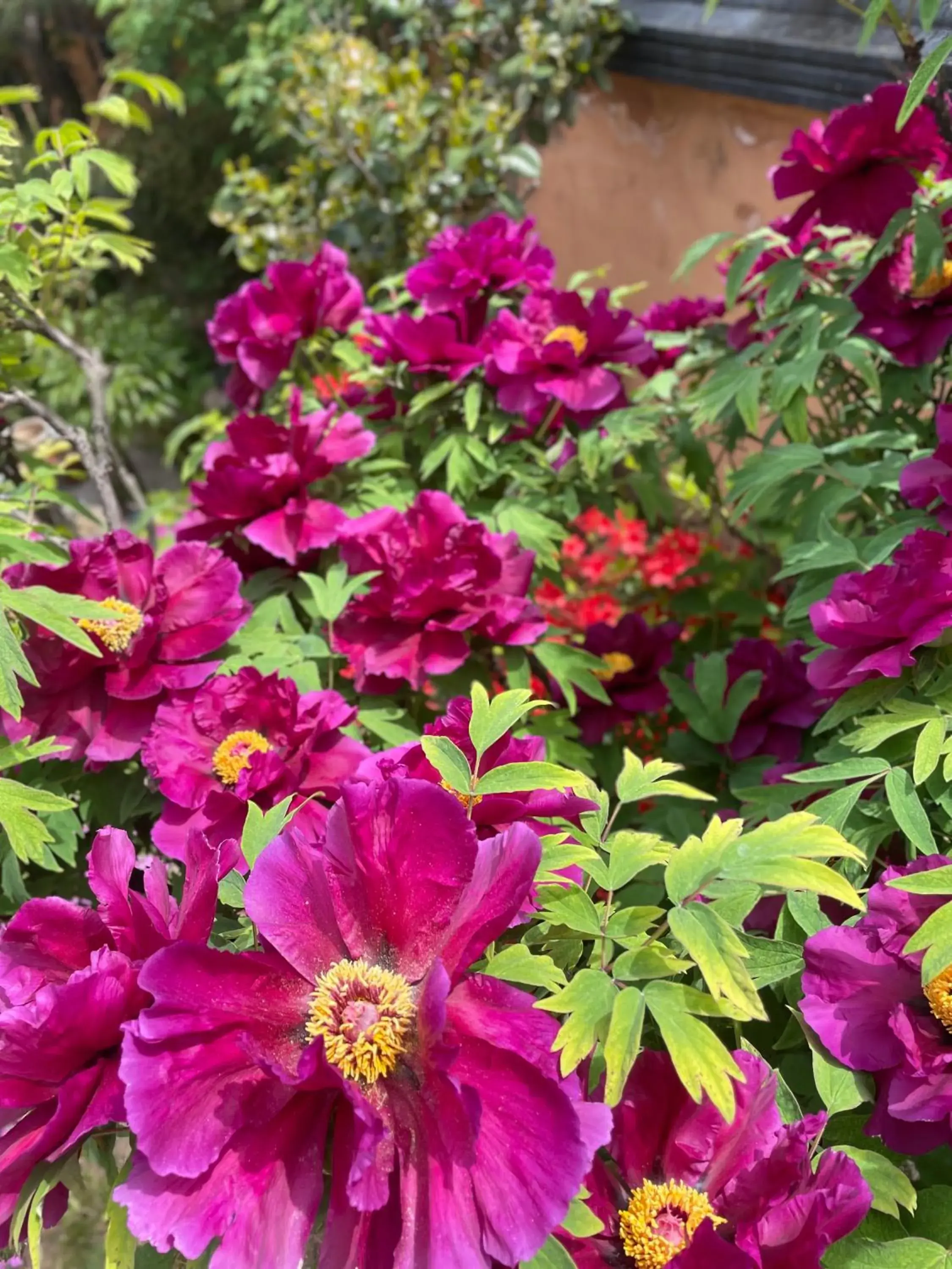 Duplex Quadruple Room in Hanok Hyeyum Duplex Quadruple Room in Hanok Hyeyum