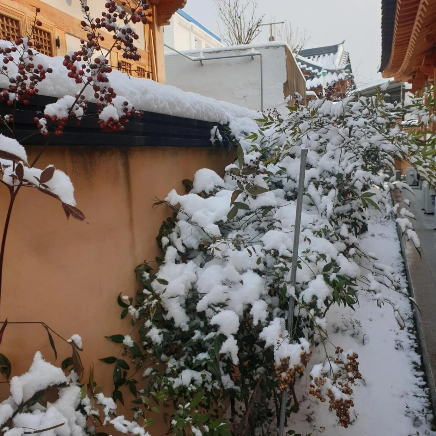 Winter in Hanok Hyeyum