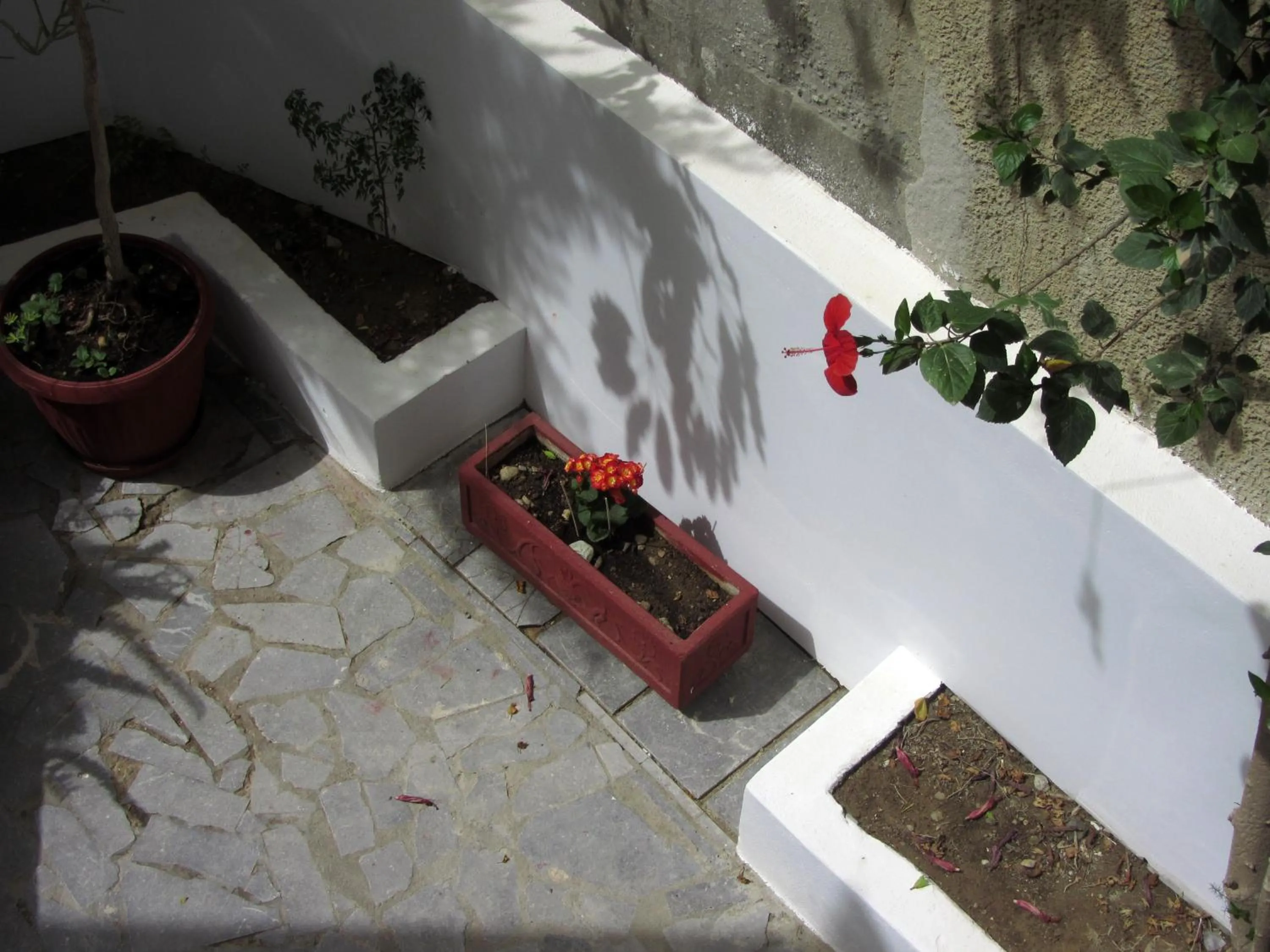 Area and facilities in Petra Hotel