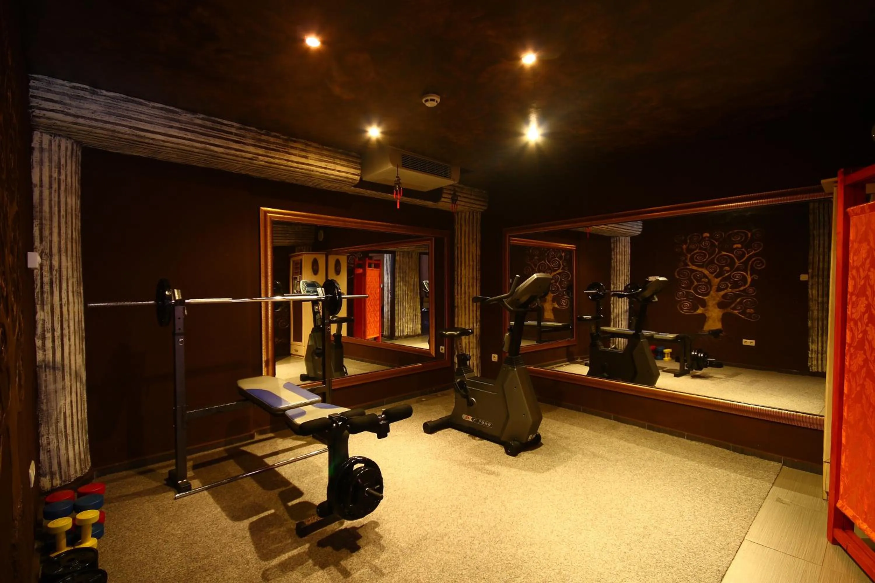 Fitness centre/facilities in Smartline Meridian Hotel