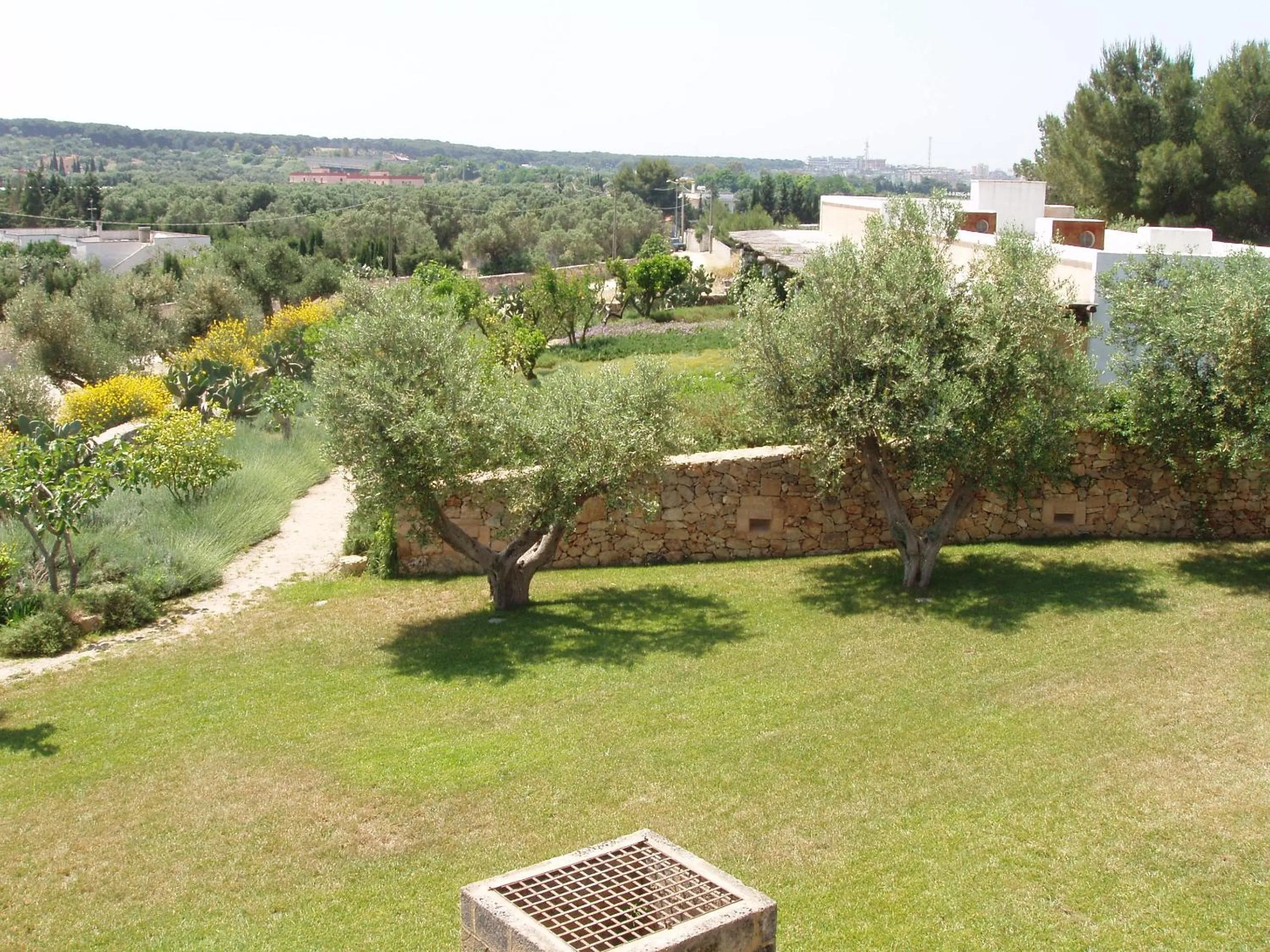 Garden in Masseria L'Antico Frantoio