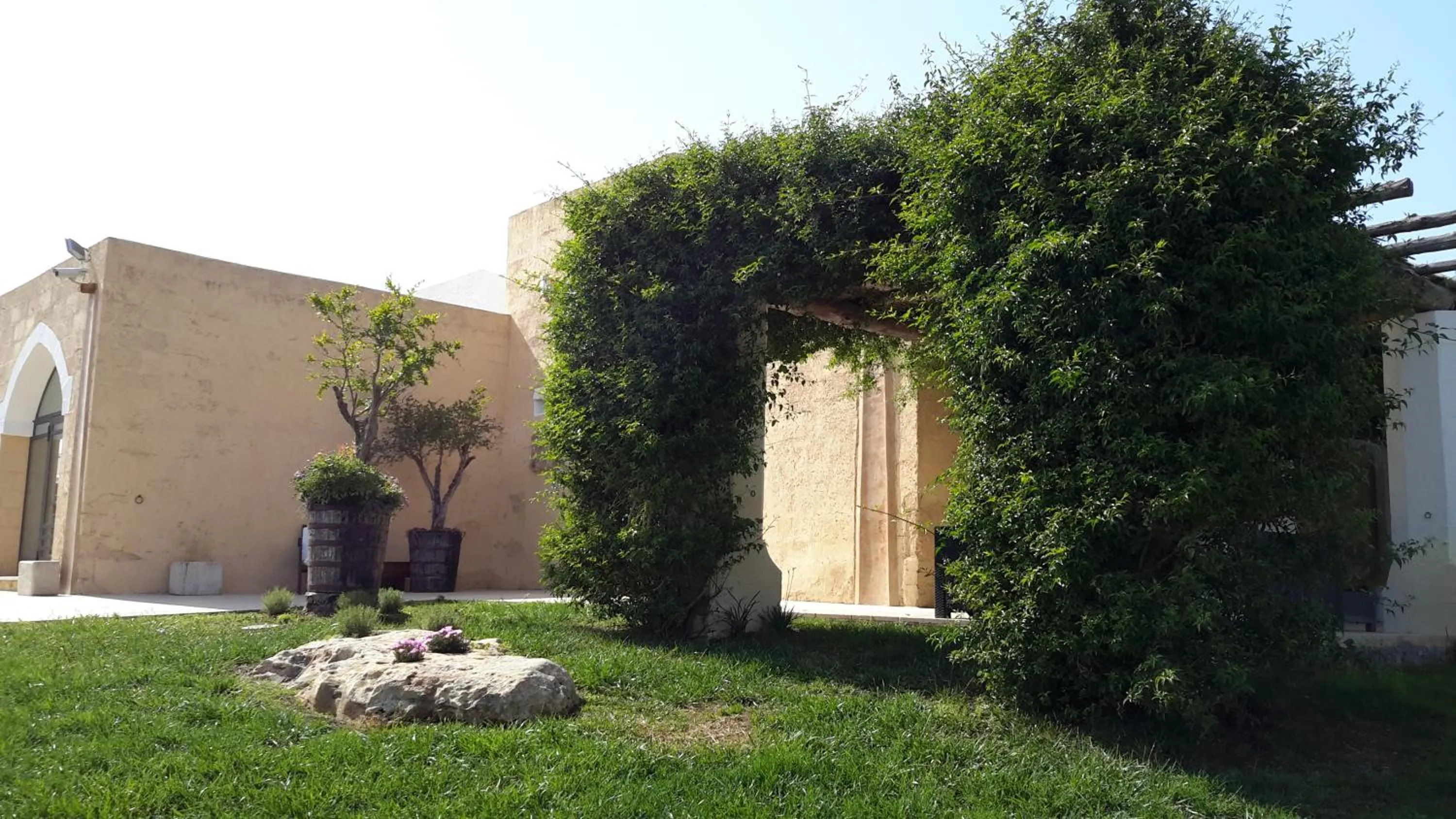 Garden in Masseria L'Antico Frantoio