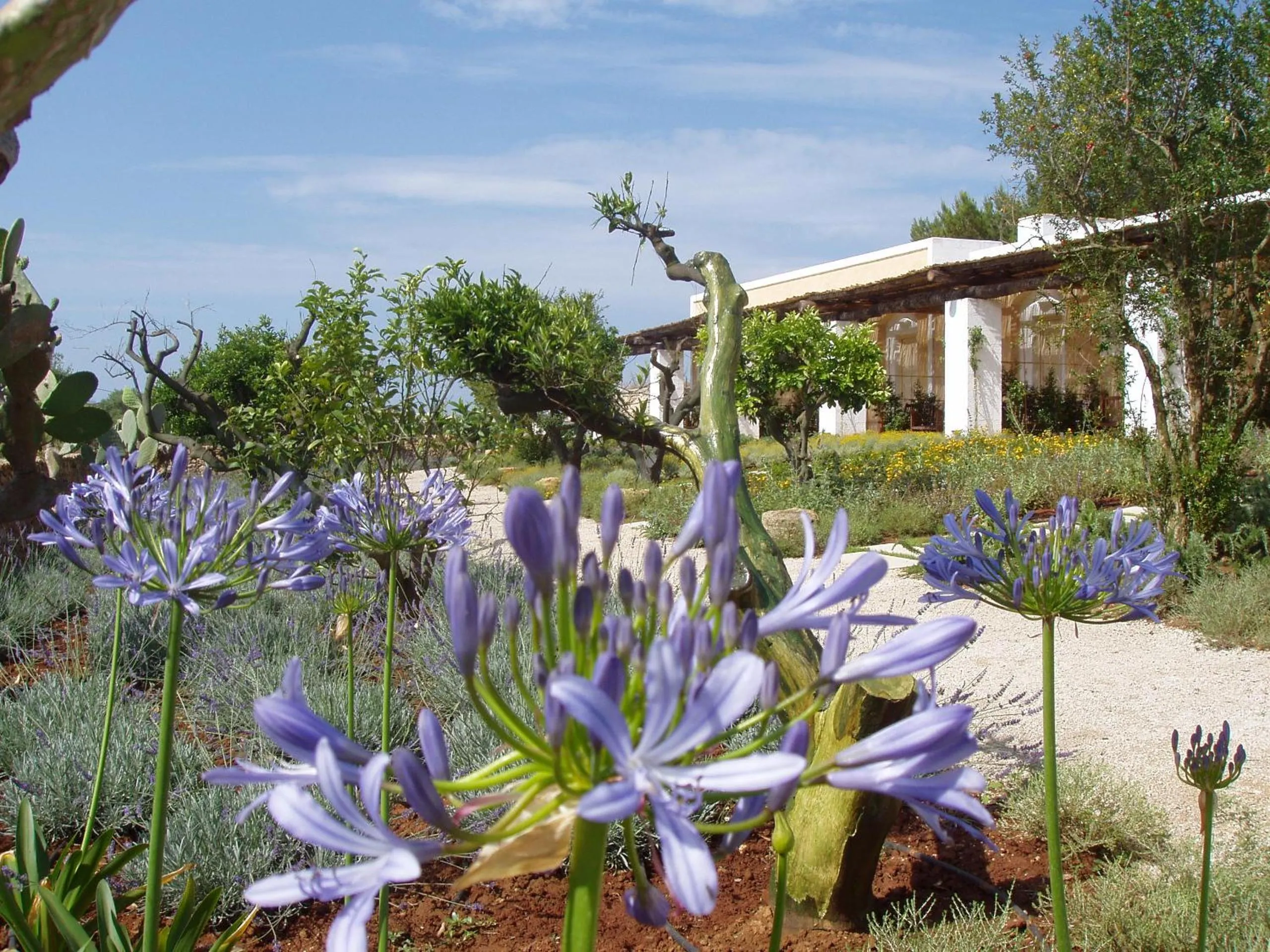 Garden in Masseria L'Antico Frantoio