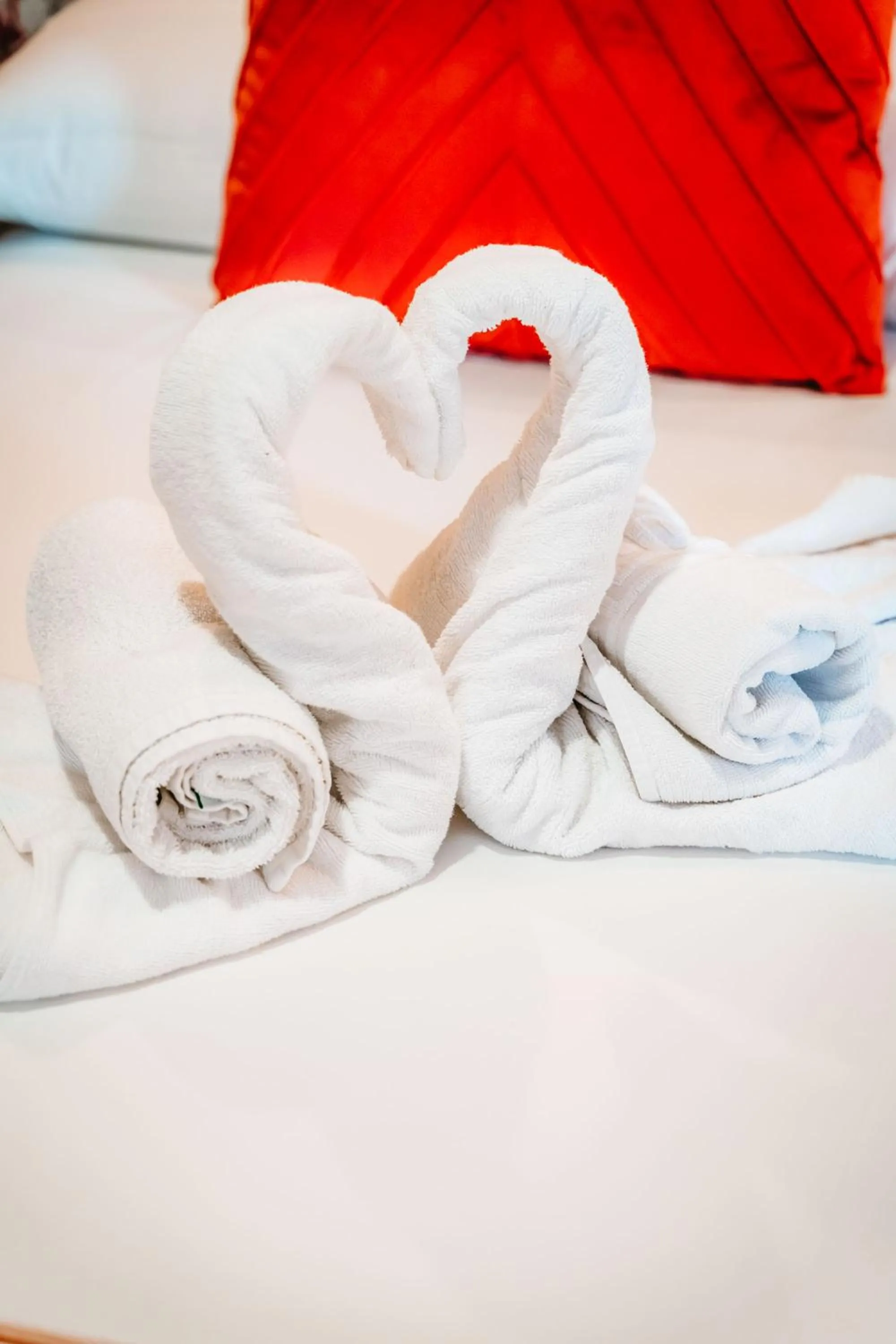 towels, Bed in Veronica Centro