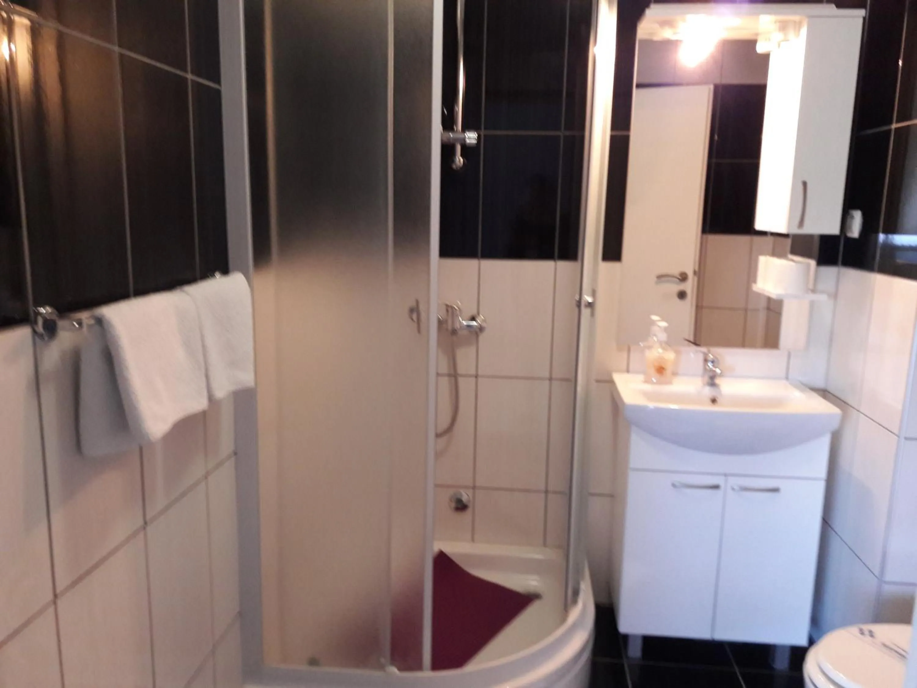 Bathroom in House Josipa