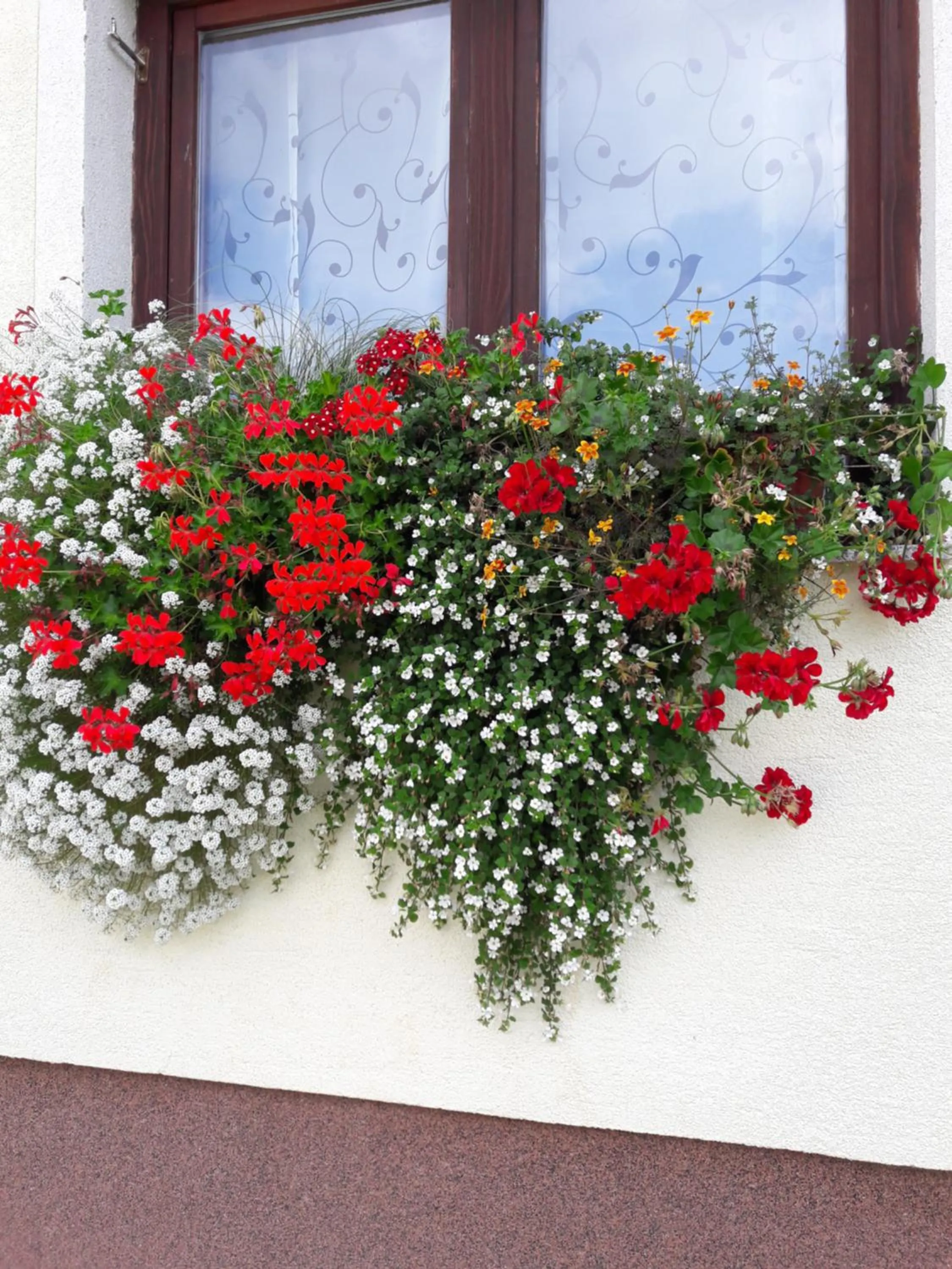 Garden in House Josipa