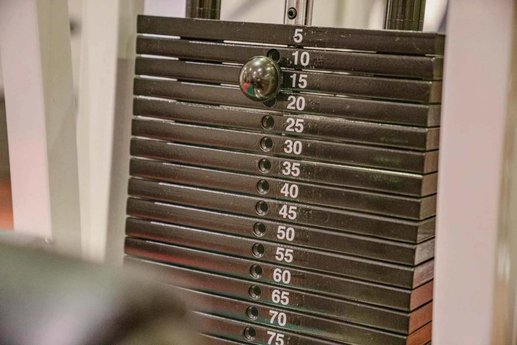 Fitness centre/facilities in Hotel Restaurant Lebzelter