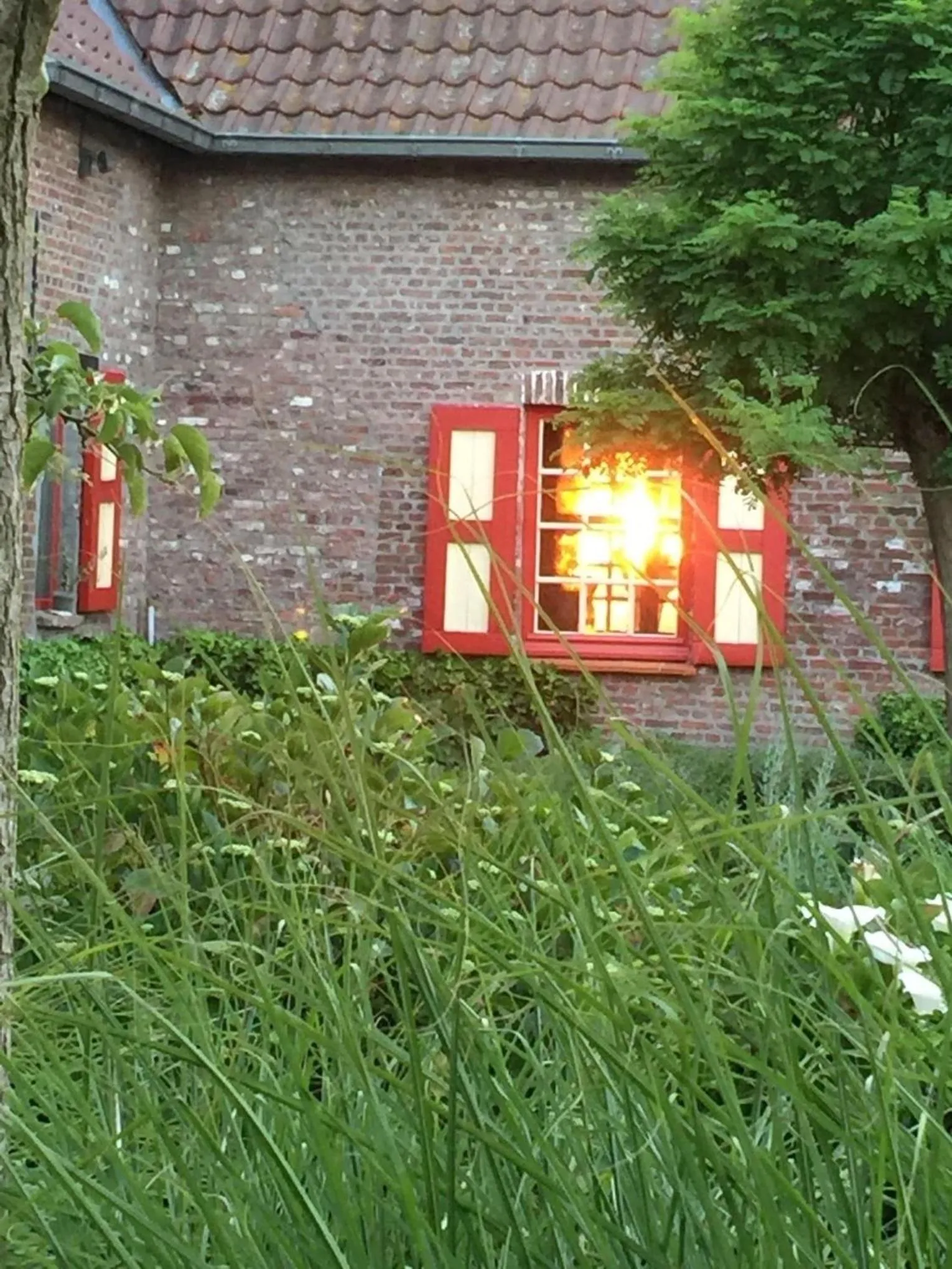 Property building in Domaine 10