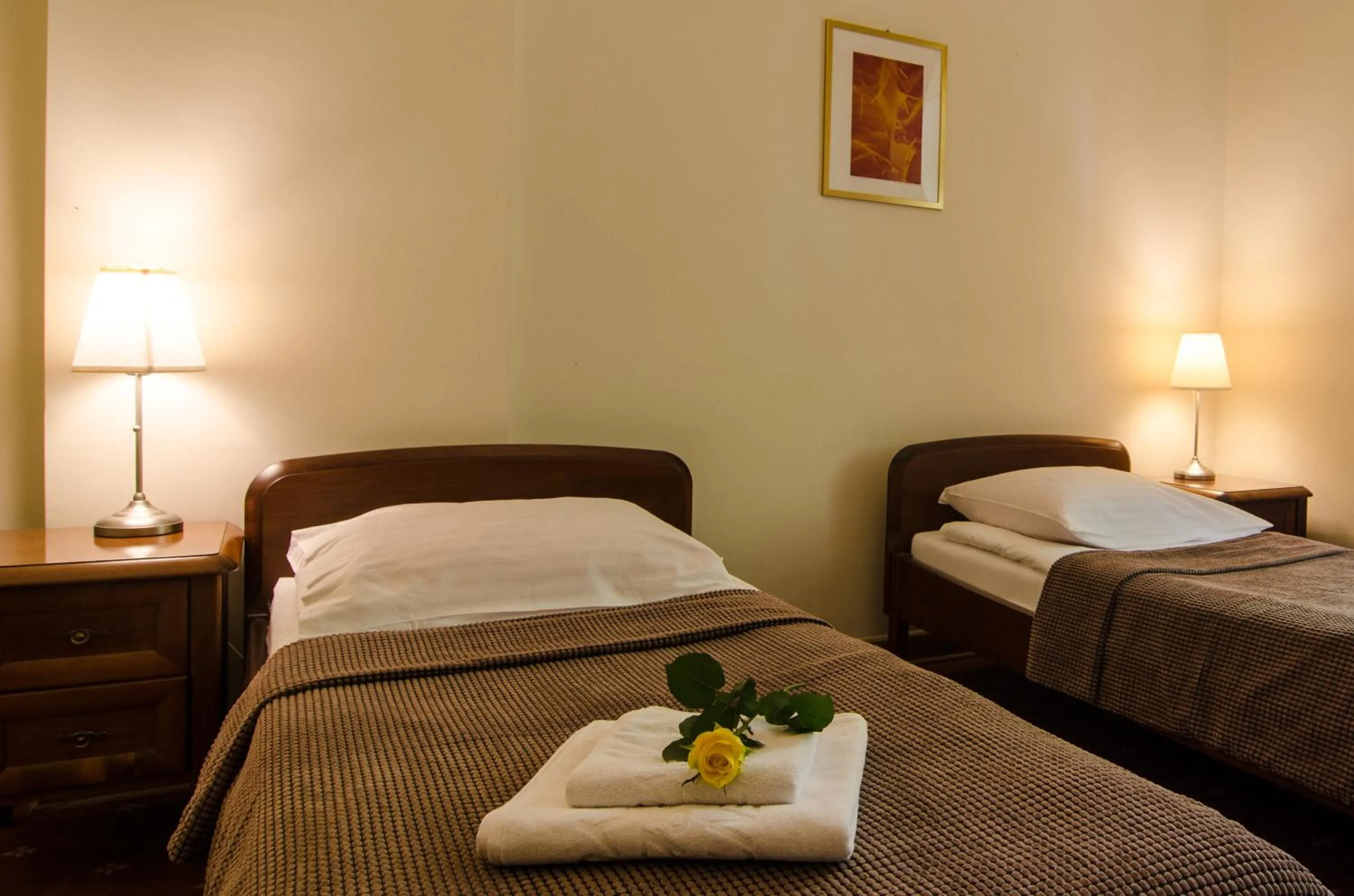 Twin Room in Hotel Łazienkowski