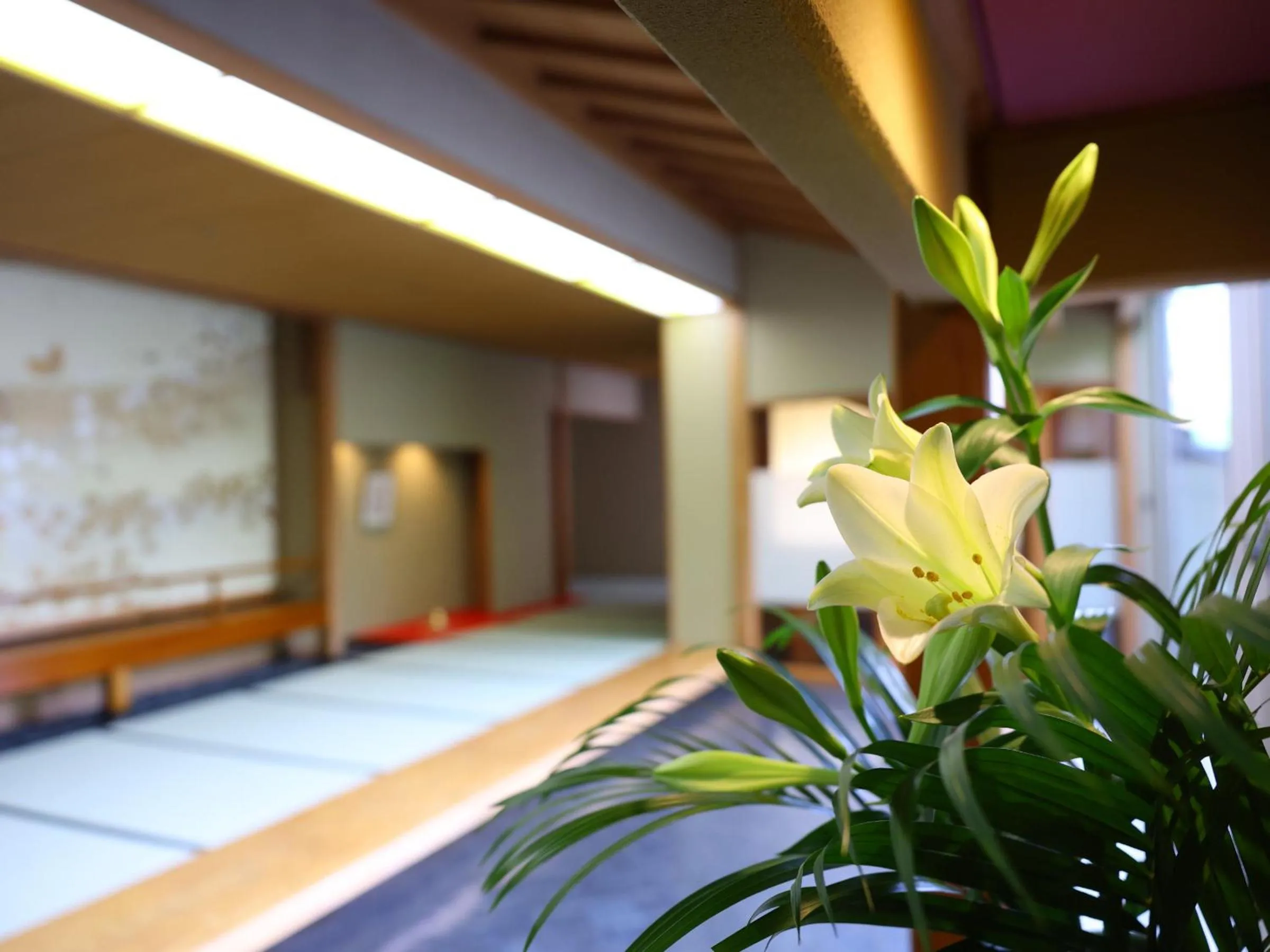 Area and facilities, Bed in Hamanoyu