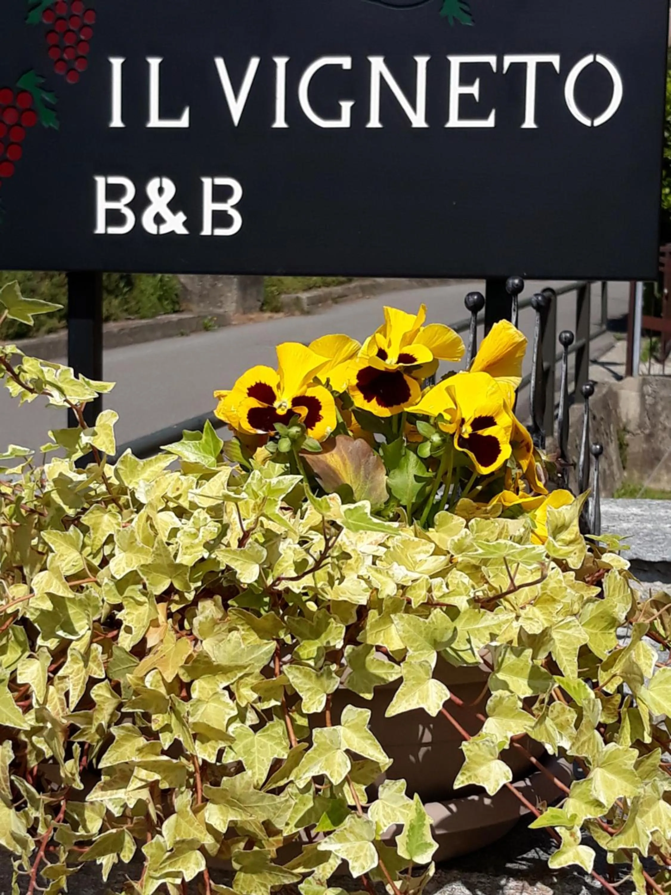 Property logo or sign in Il Vigneto