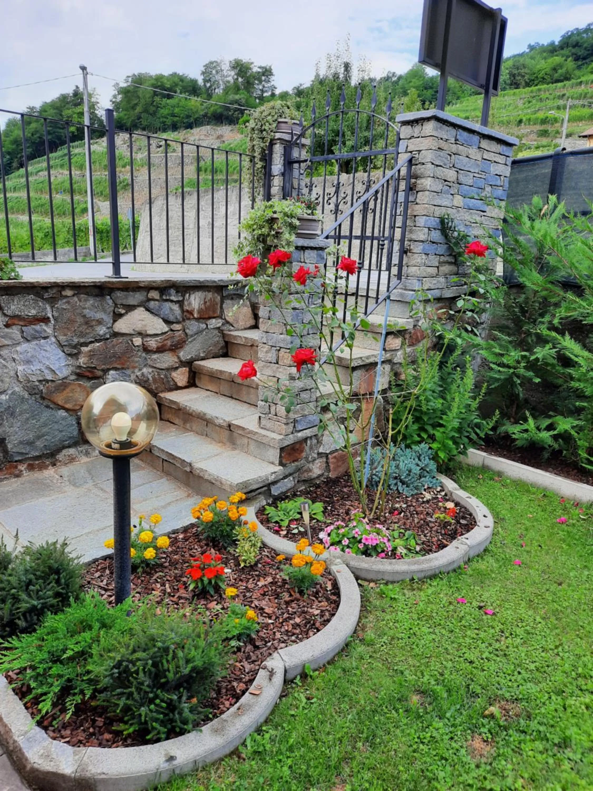 Spring in Il Vigneto